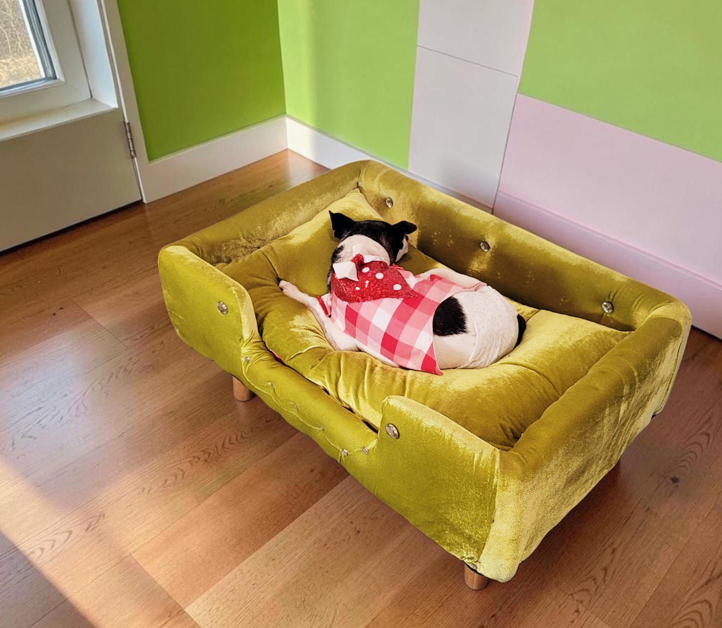 Velvet Contemporary Pet Bed, luxury pet bed with legs, upholstered pet bed