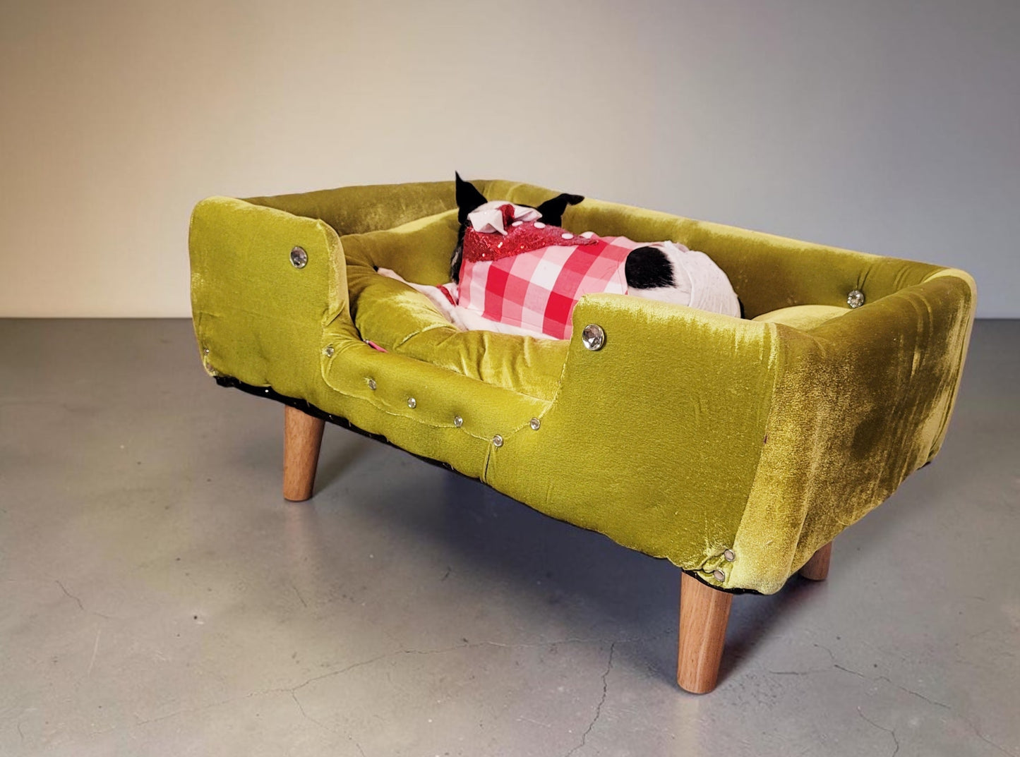 Velvet Contemporary Pet Bed, luxury pet bed with legs, upholstered pet bed