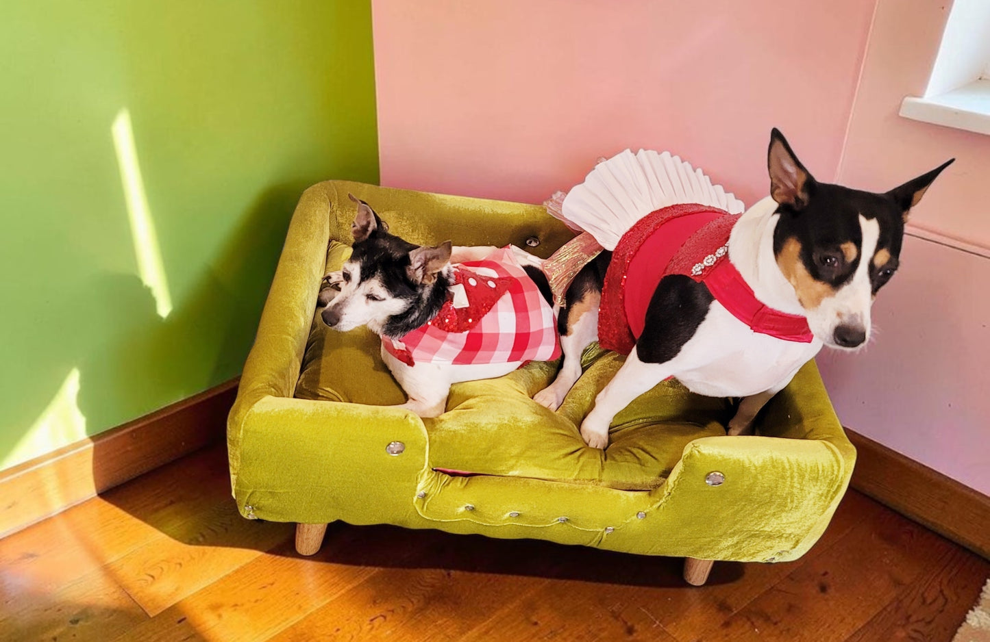 Velvet Contemporary Pet Bed, luxury pet bed with legs, upholstered pet bed