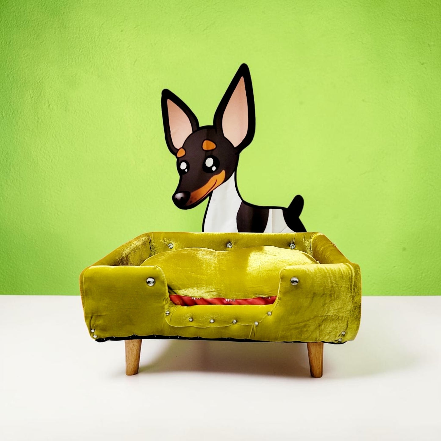 Velvet Contemporary Pet Bed, luxury pet bed with legs, upholstered pet bed