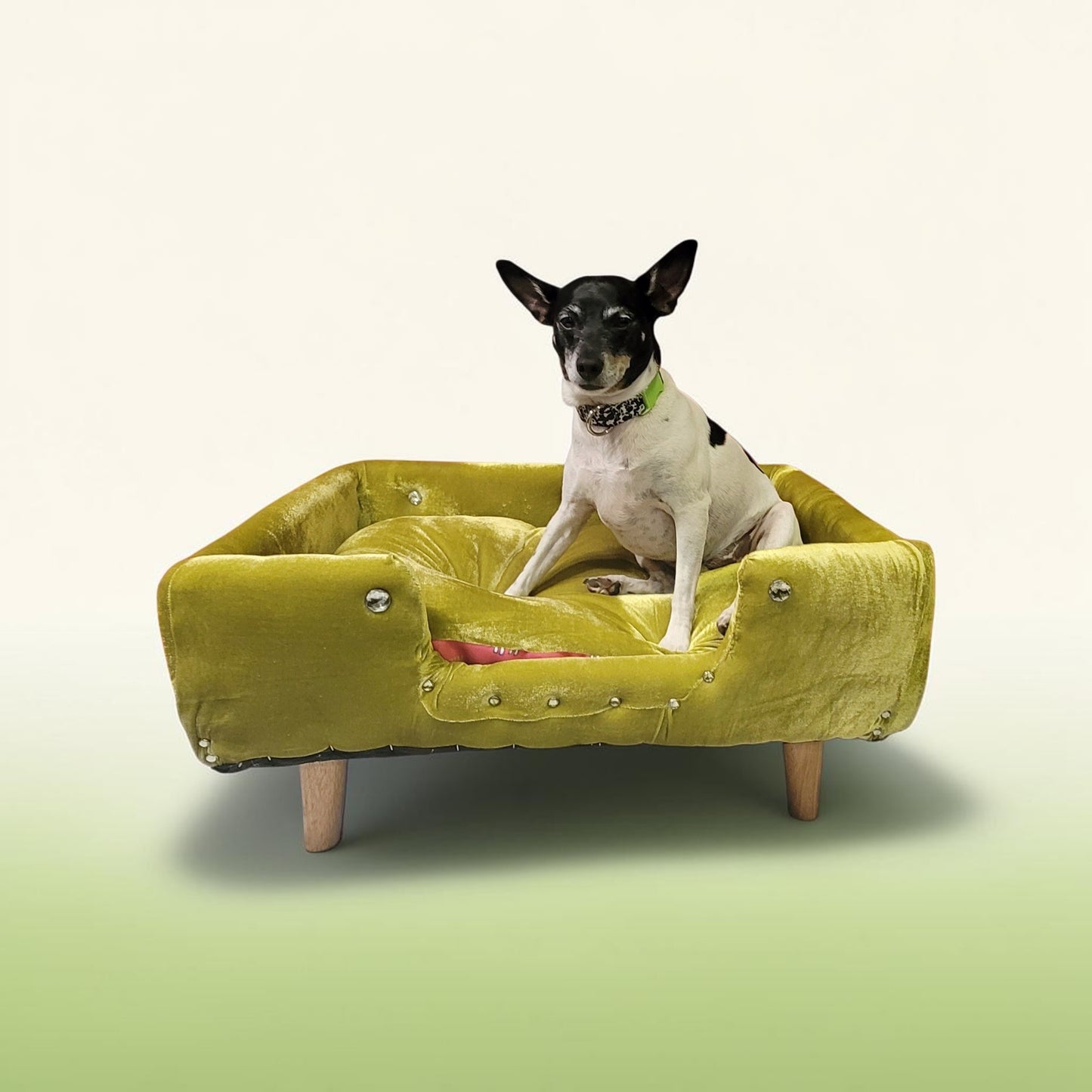 Velvet Contemporary Pet Bed, luxury pet bed with legs, upholstered pet bed