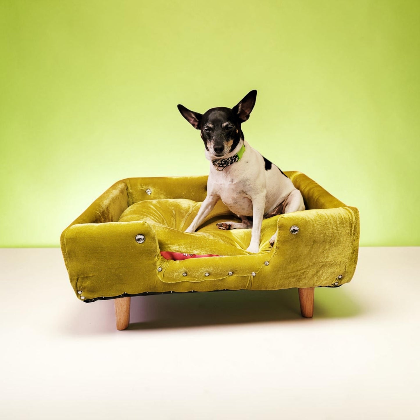 Velvet Contemporary Pet Bed, luxury pet bed with legs, upholstered pet bed