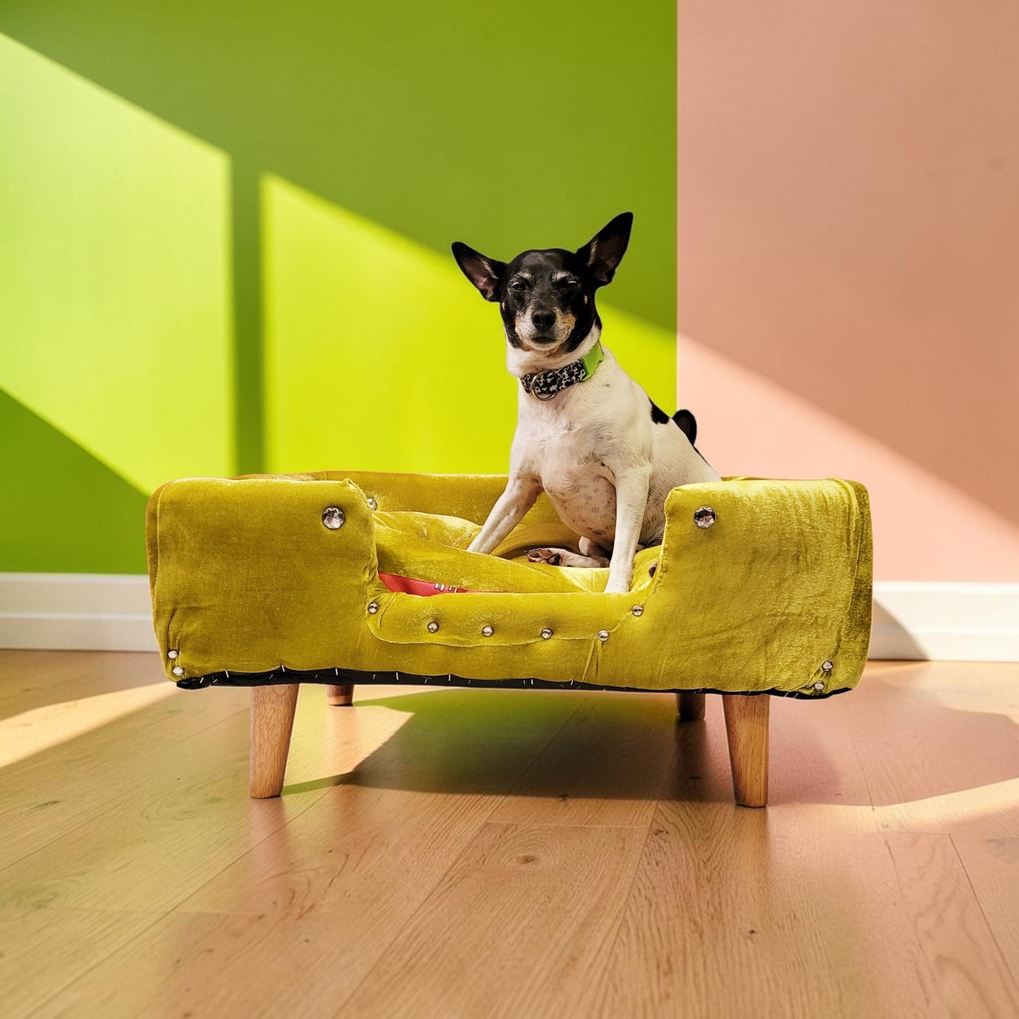 Velvet Contemporary Pet Bed, luxury pet bed with legs, upholstered pet bed