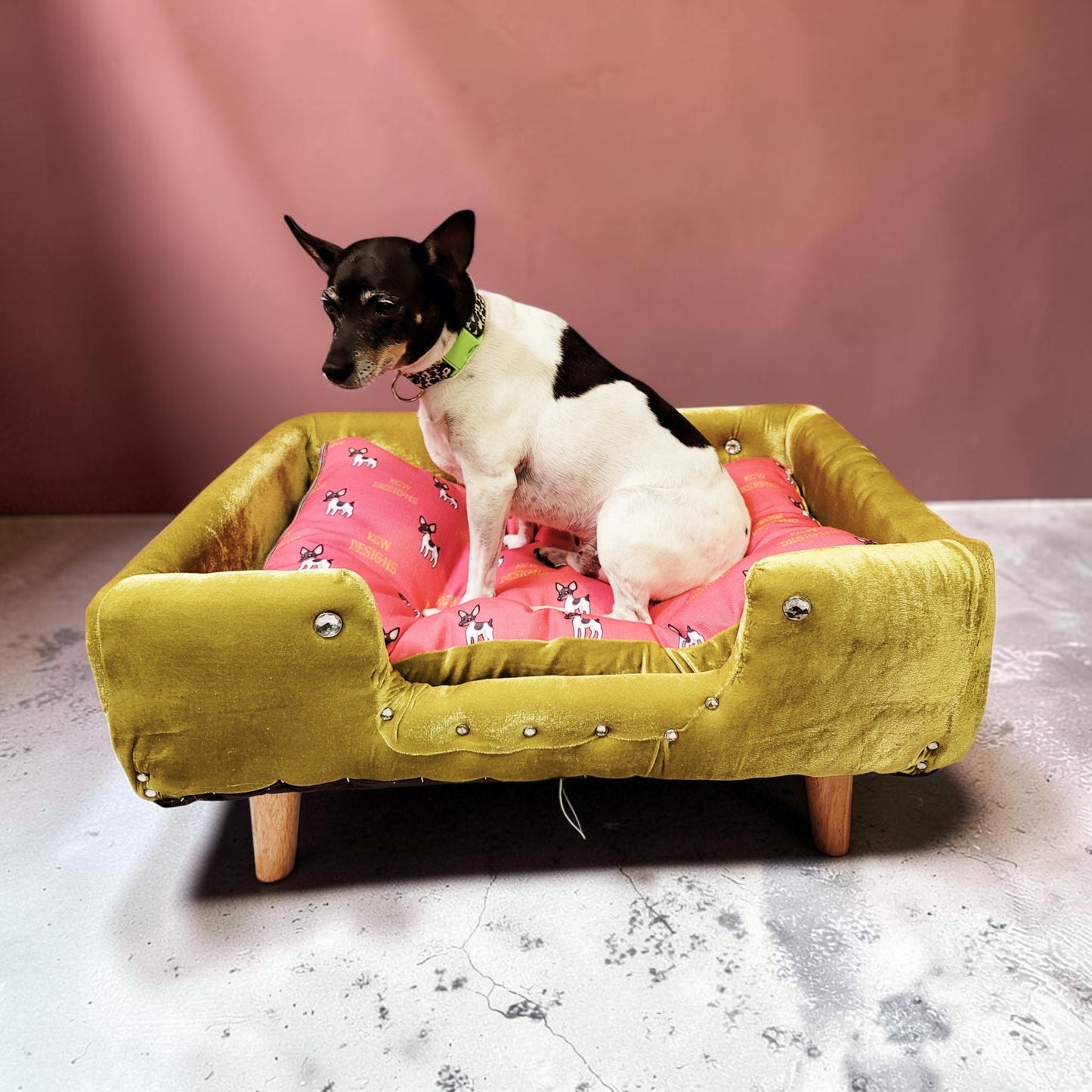 Velvet Contemporary Pet Bed, luxury pet bed with legs, upholstered pet bed
