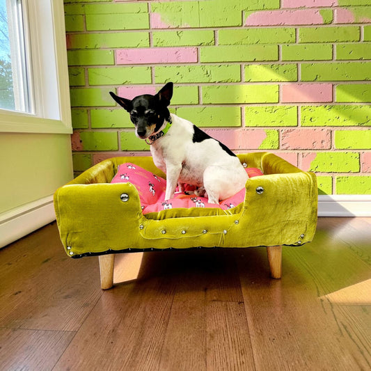 Velvet Contemporary Pet Bed, luxury pet bed with legs, upholstered pet bed