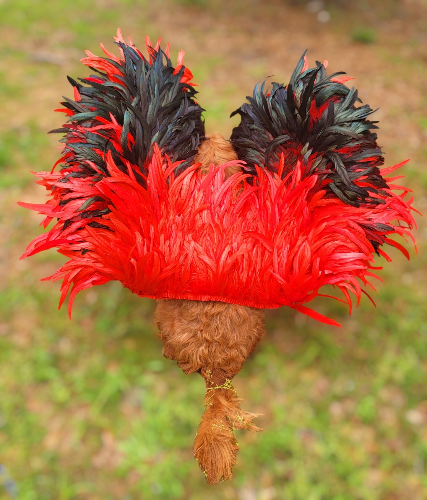 Elton John Rocketman Orange Devil Pet Costume, Elton John Rocketman bejeweled "Devil" pet dog cat costume, Orange Devil pet costume
