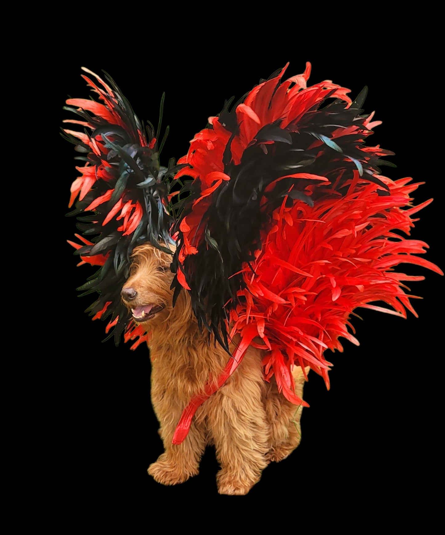 Elton John Rocketman Orange Devil Pet Costume, Elton John Rocketman bejeweled "Devil" pet dog cat costume, Orange Devil pet costume