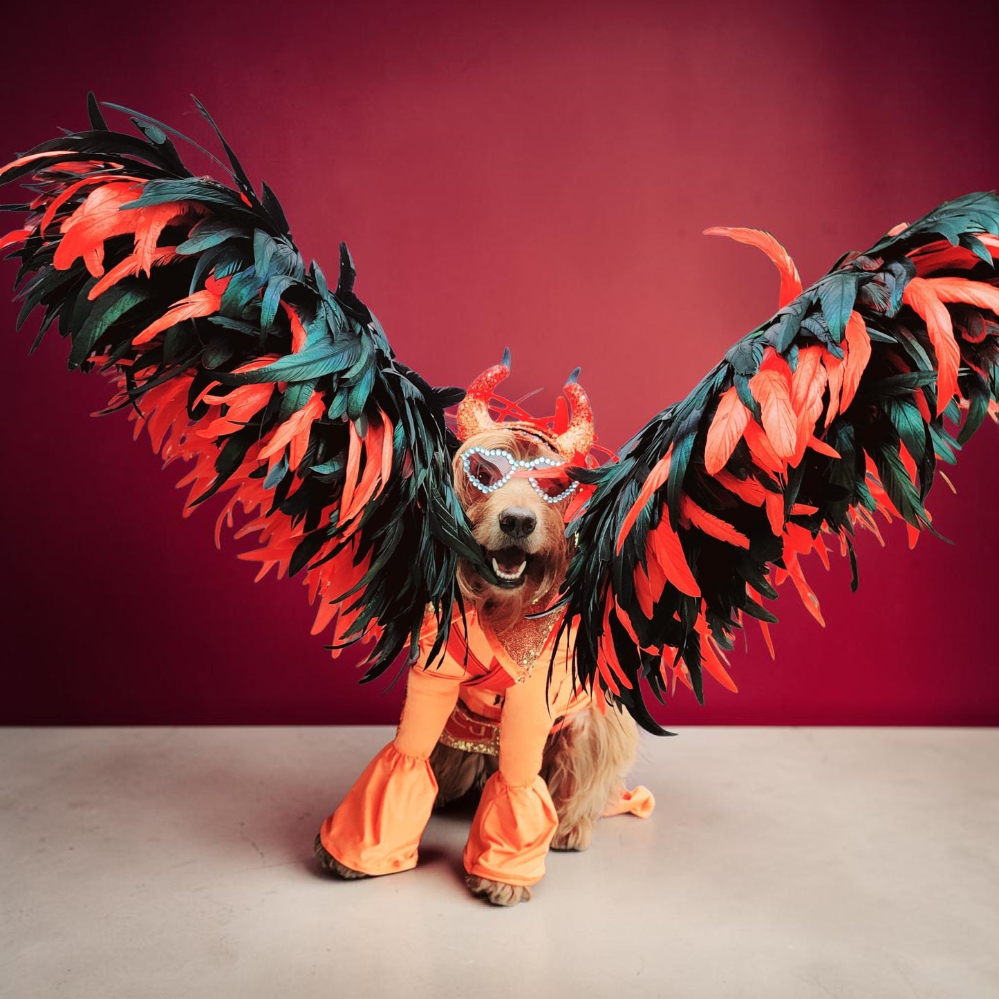 Elton John Rocketman Orange Devil Pet Costume, Elton John Rocketman bejeweled "Devil" pet dog cat costume, Orange Devil pet costume