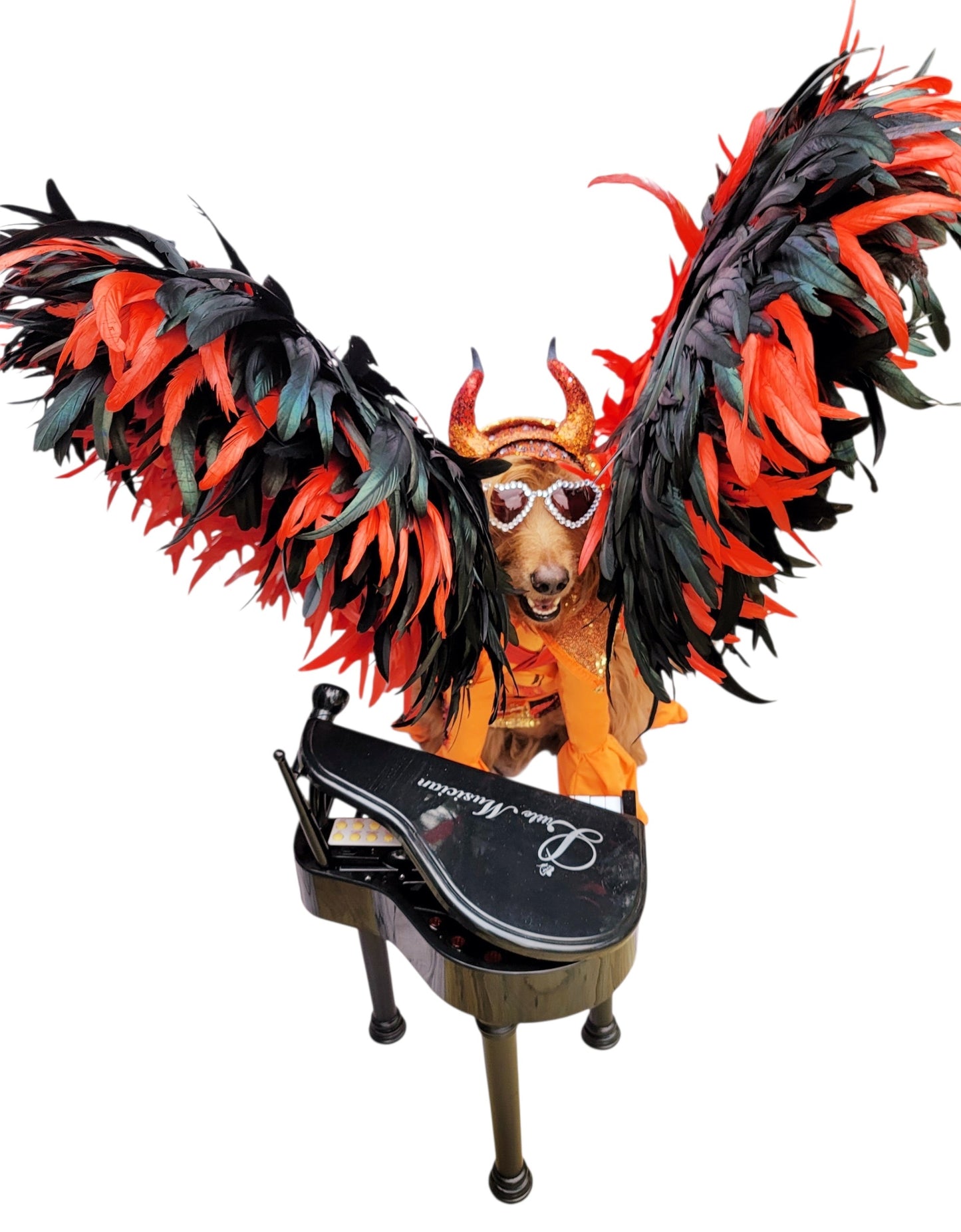 Elton John Rocketman Orange Devil Pet Costume, Elton John Rocketman bejeweled "Devil" pet dog cat costume, Orange Devil pet costume