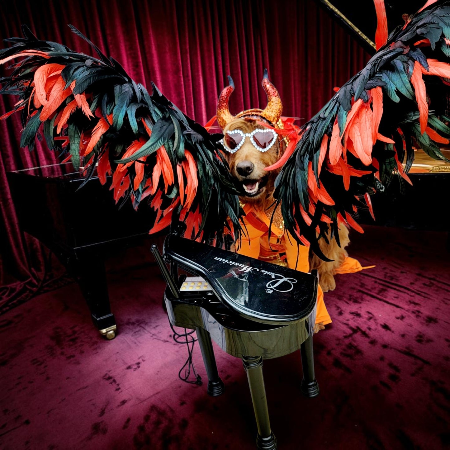 Elton John Rocketman Orange Devil Pet Costume, Elton John Rocketman bejeweled "Devil" pet dog cat costume, Orange Devil pet costume