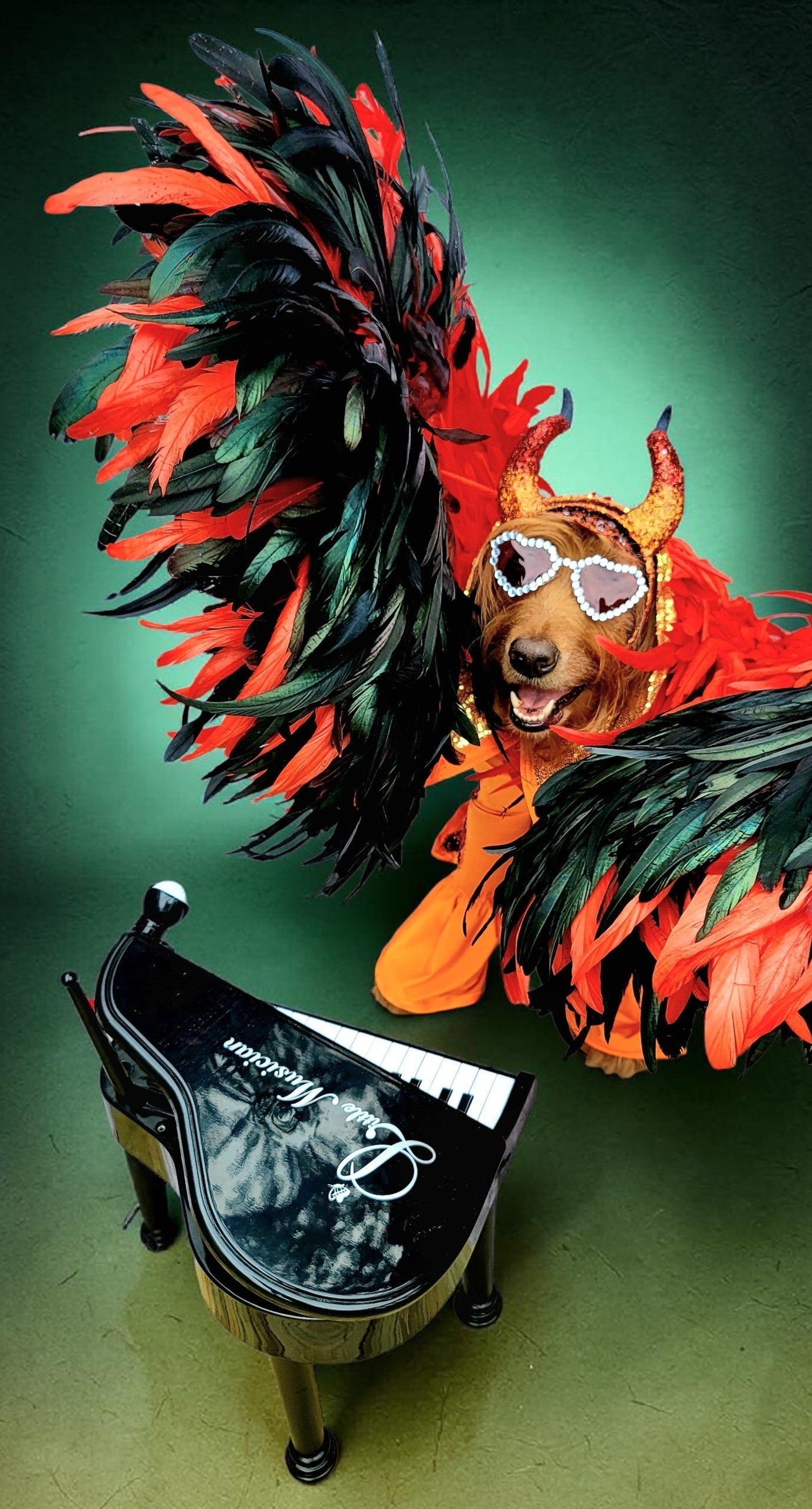 Elton John Rocketman Orange Devil Pet Costume, Elton John Rocketman bejeweled "Devil" pet dog cat costume, Orange Devil pet costume