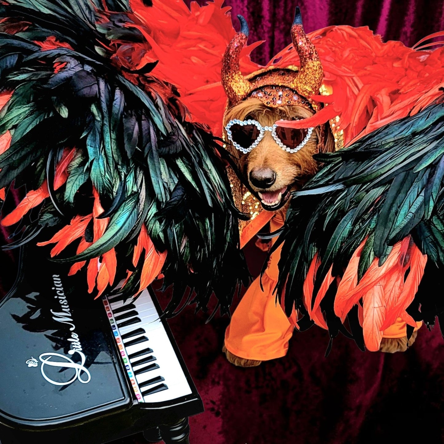 Elton John Rocketman Orange Devil Pet Costume, Elton John Rocketman bejeweled "Devil" pet dog cat costume, Orange Devil pet costume