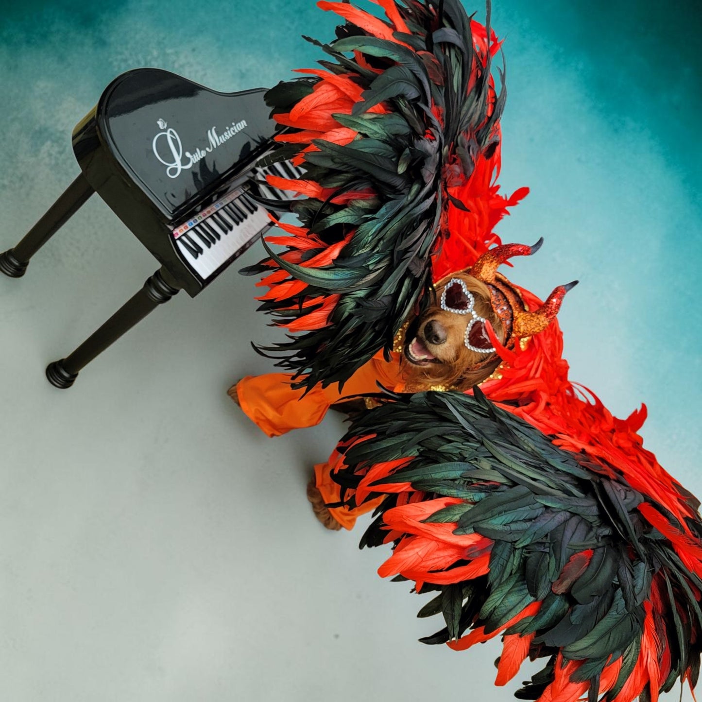 Elton John Rocketman Orange Devil Pet Costume, Elton John Rocketman bejeweled "Devil" pet dog cat costume, Orange Devil pet costume