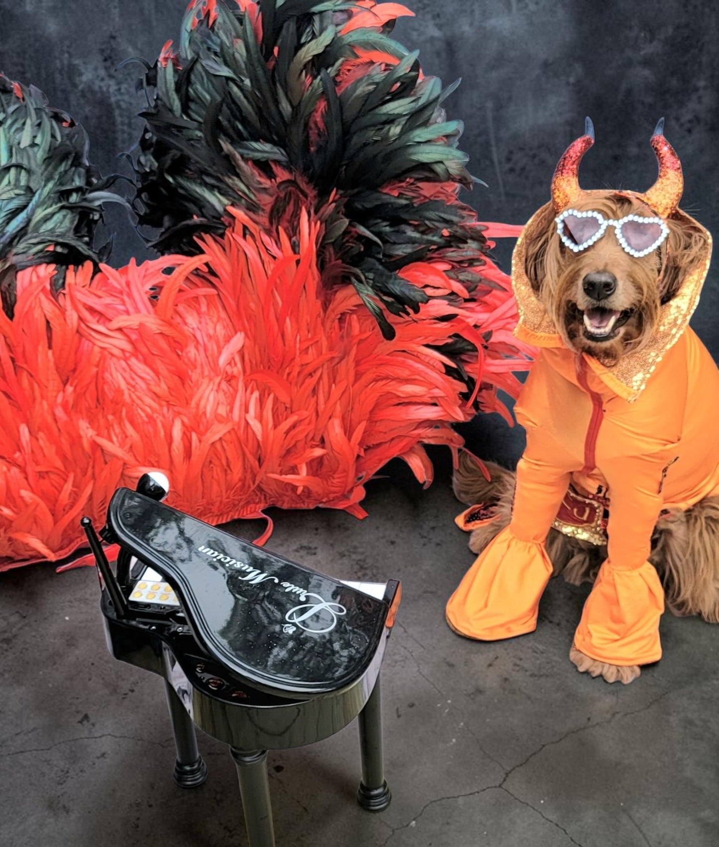 Elton John Rocketman Orange Devil Pet Costume, Elton John Rocketman bejeweled "Devil" pet dog cat costume, Orange Devil pet costume