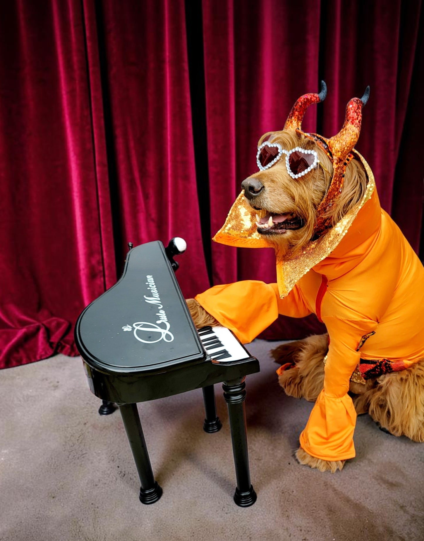 Elton John Rocketman Orange Devil Pet Costume, Elton John Rocketman bejeweled "Devil" pet dog cat costume, Orange Devil pet costume