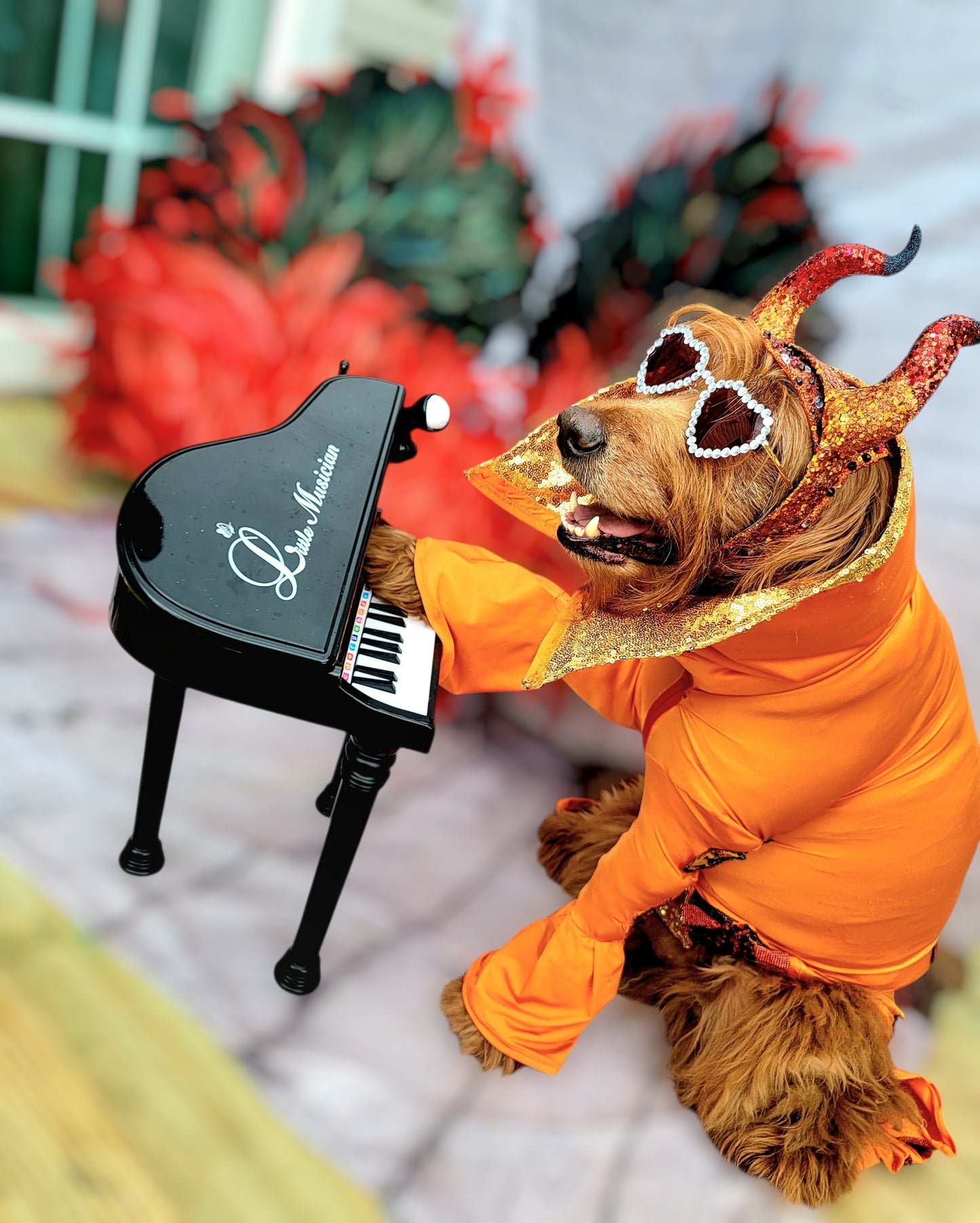 Elton John Rocketman Orange Devil Pet Costume, Elton John Rocketman bejeweled "Devil" pet dog cat costume, Orange Devil pet costume