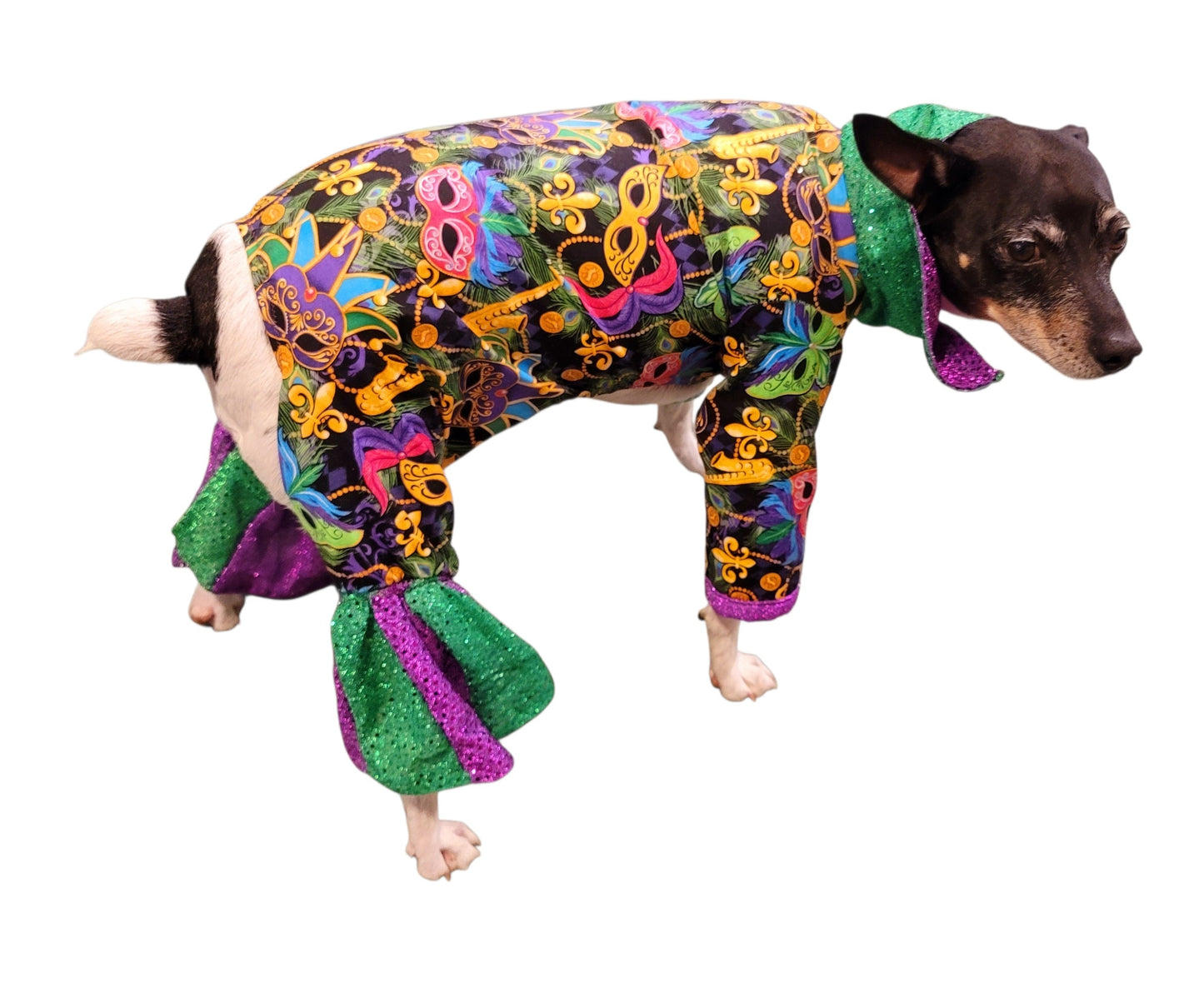 Mardi Gras Pet body suit, Mardi Gras sequin pet body suit, Mardi Gras Pet costume