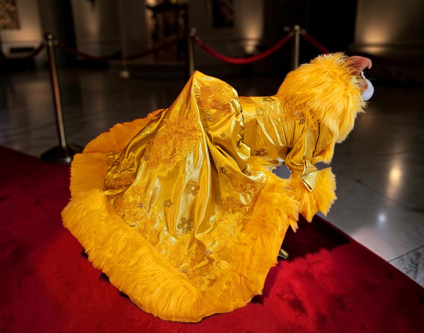 Rihanna pet dress, Rhianna dog costume, Rhianna chinese pet dress, mutt gala pet dress, Rhianna Halloween dog costume