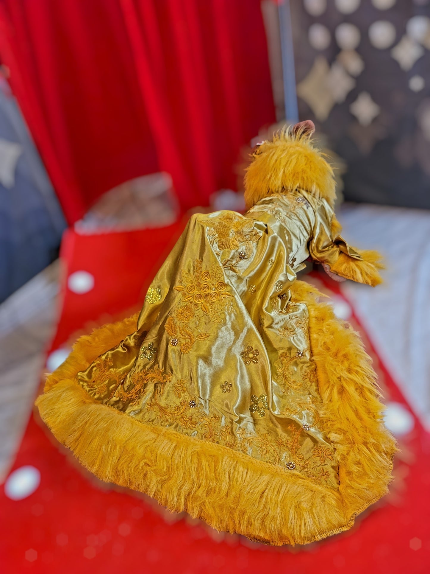 Rihanna pet dress, Rhianna dog costume, Rhianna chinese pet dress, mutt gala pet dress, Rhianna Halloween dog costume