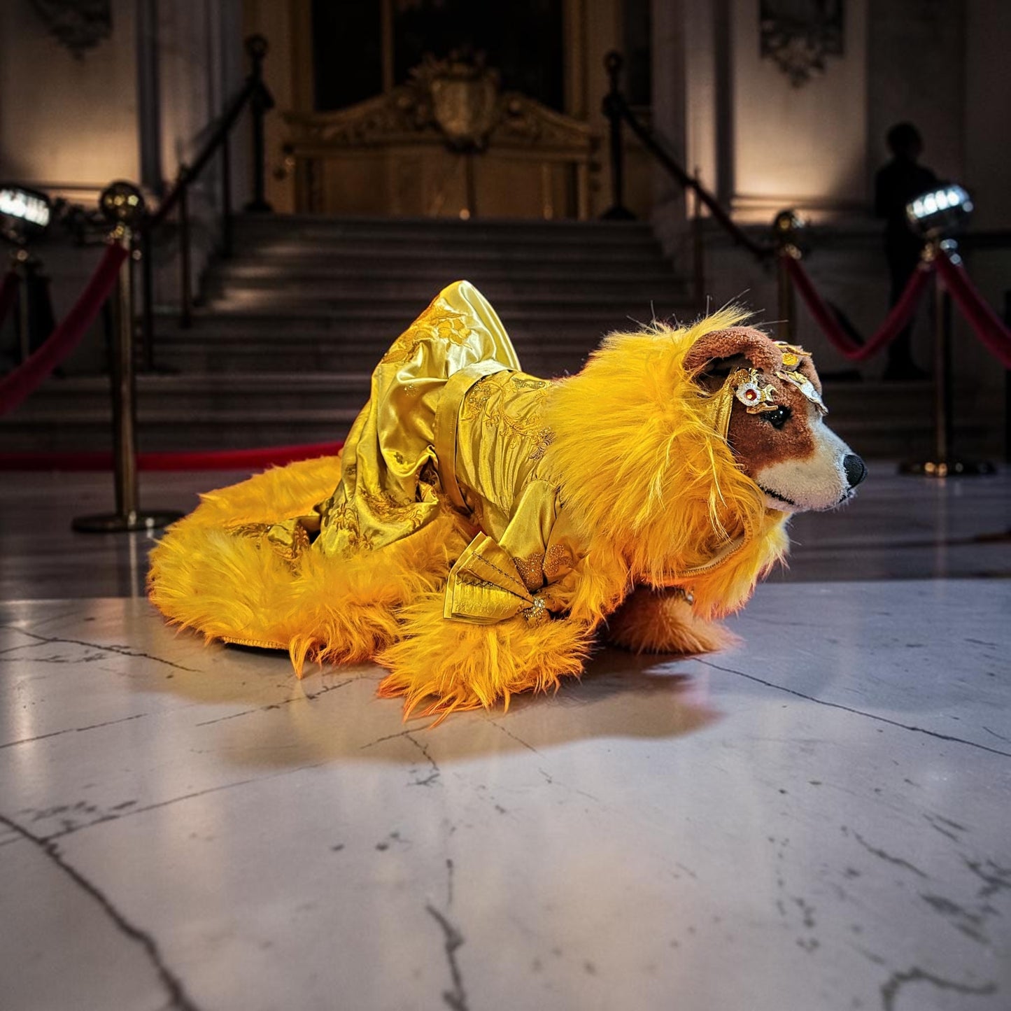 Rihanna pet dress, Rhianna dog costume, Rhianna chinese pet dress, mutt gala pet dress, Rhianna Halloween dog costume