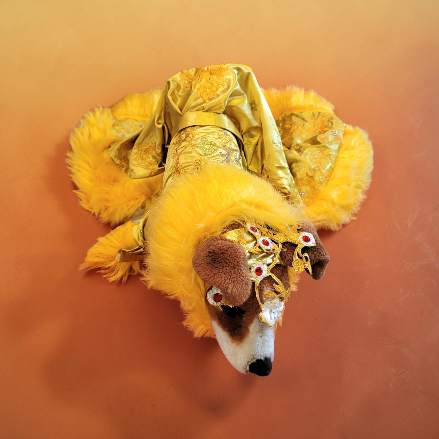 Rihanna pet dress, Rhianna dog costume, Rhianna chinese pet dress, mutt gala pet dress, Rhianna Halloween dog costume
