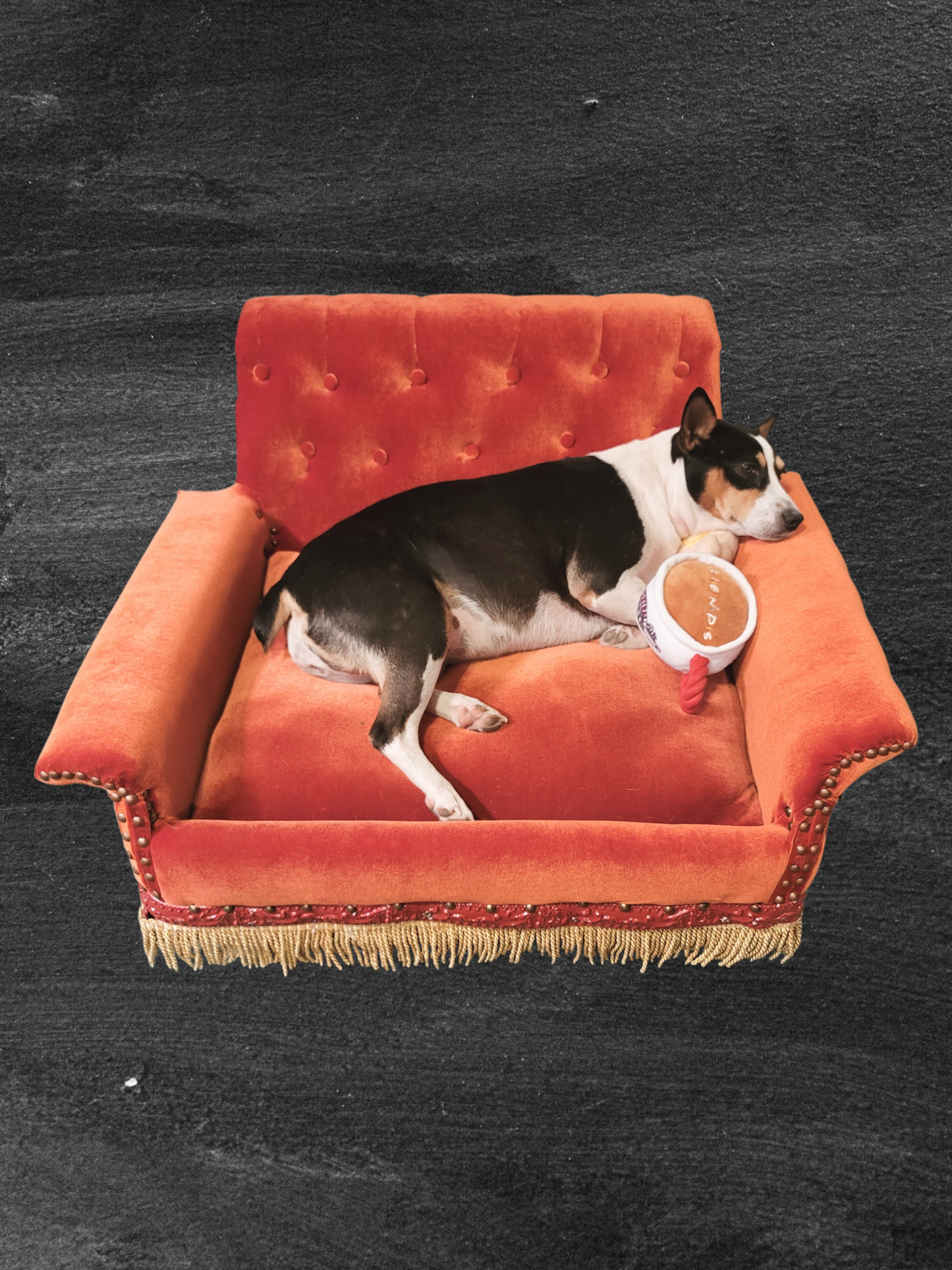 Friends Orange Pet Sofa, Central Perk Pet Sofa, Friends dog couch