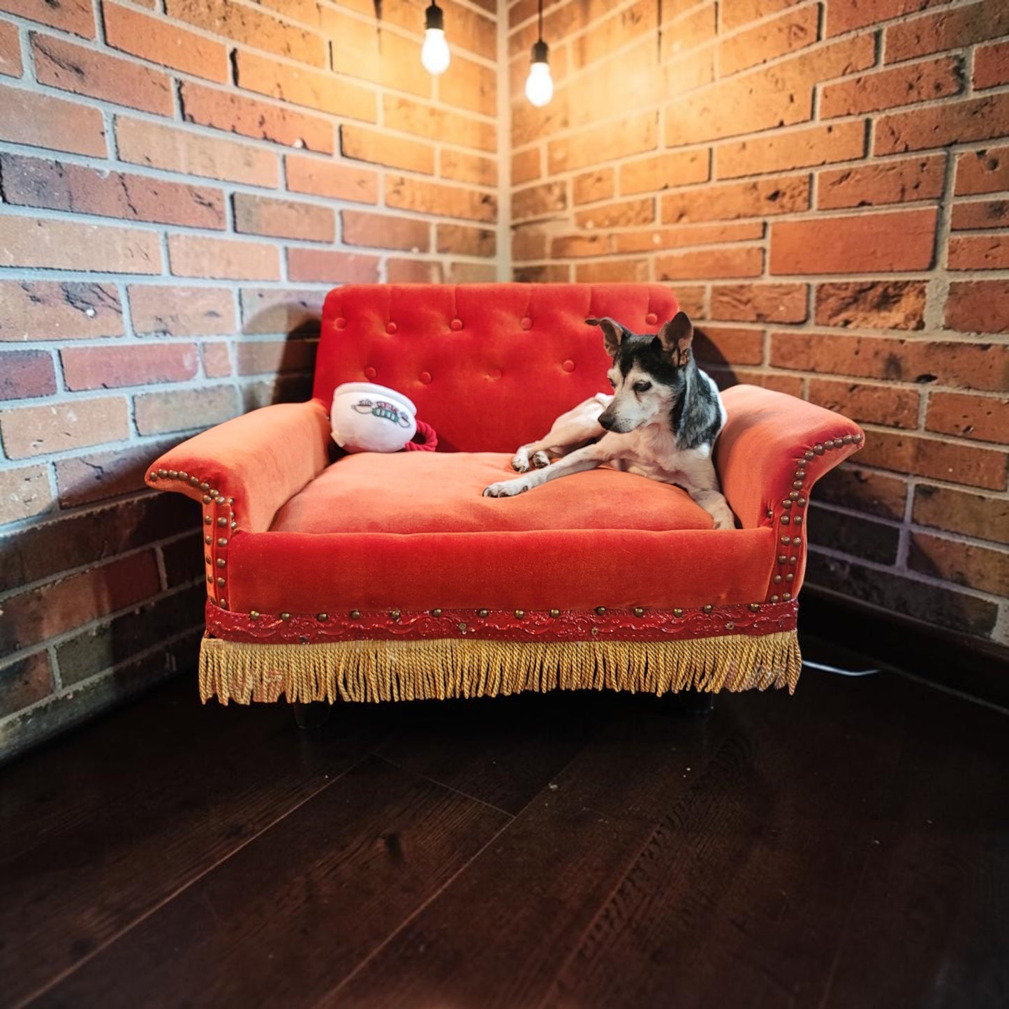 Friends Orange Pet Sofa, Central Perk Pet Sofa, Friends dog couch