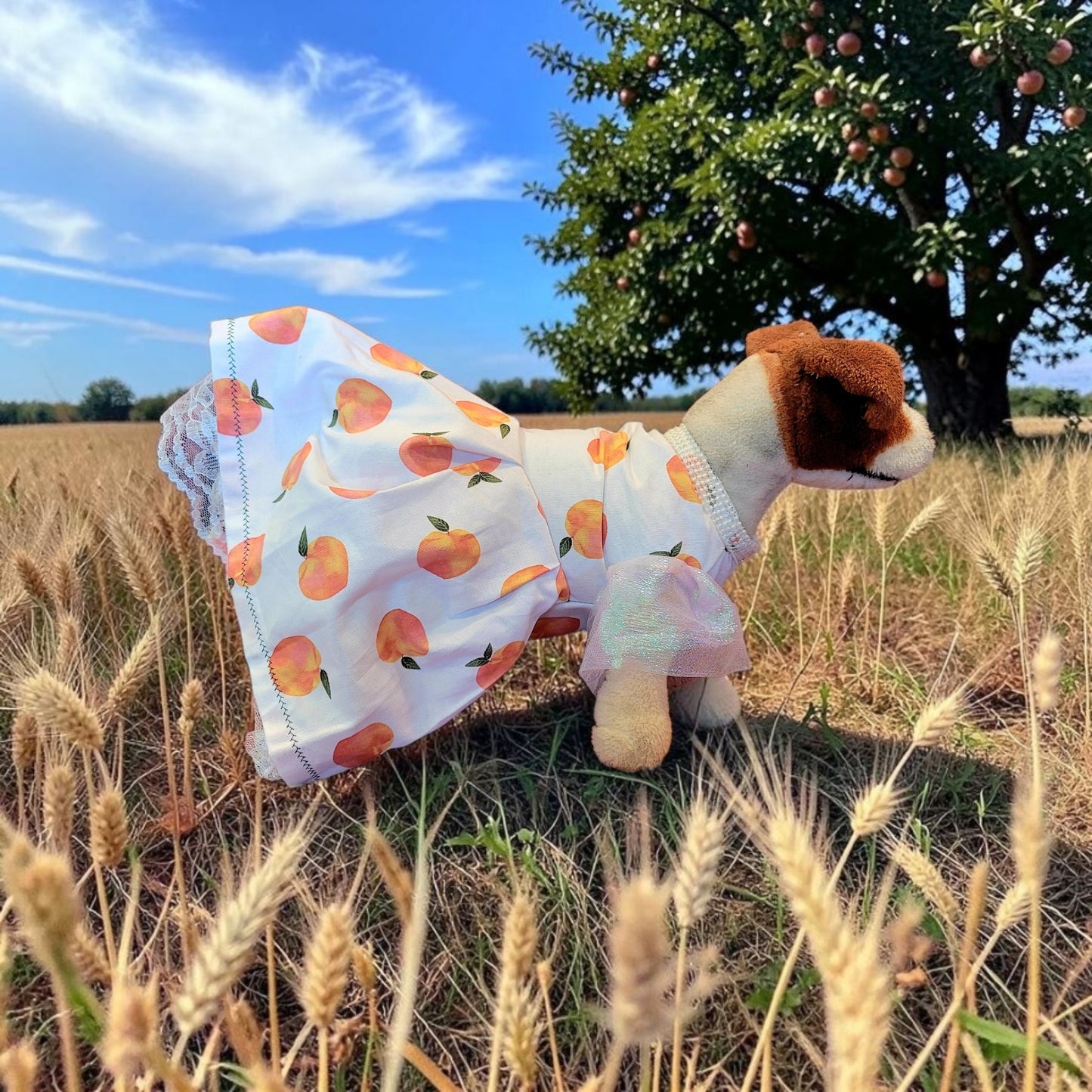 Peach gingham pet dress, peach gingham dog dress, gingham pet dress? Southern bell pet dress, southern bell dog dress, gingham cat dress