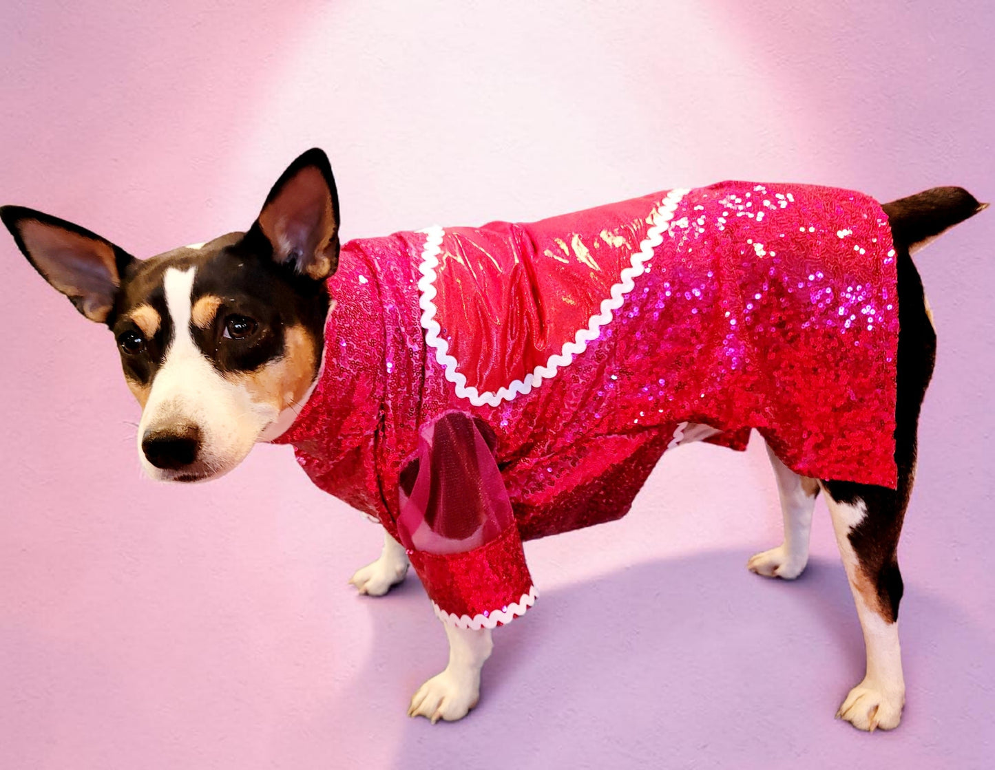 Taylor Swift pet dress, Taylor lover pet dress, Taylor Me pet dress, sequin heart pet dress