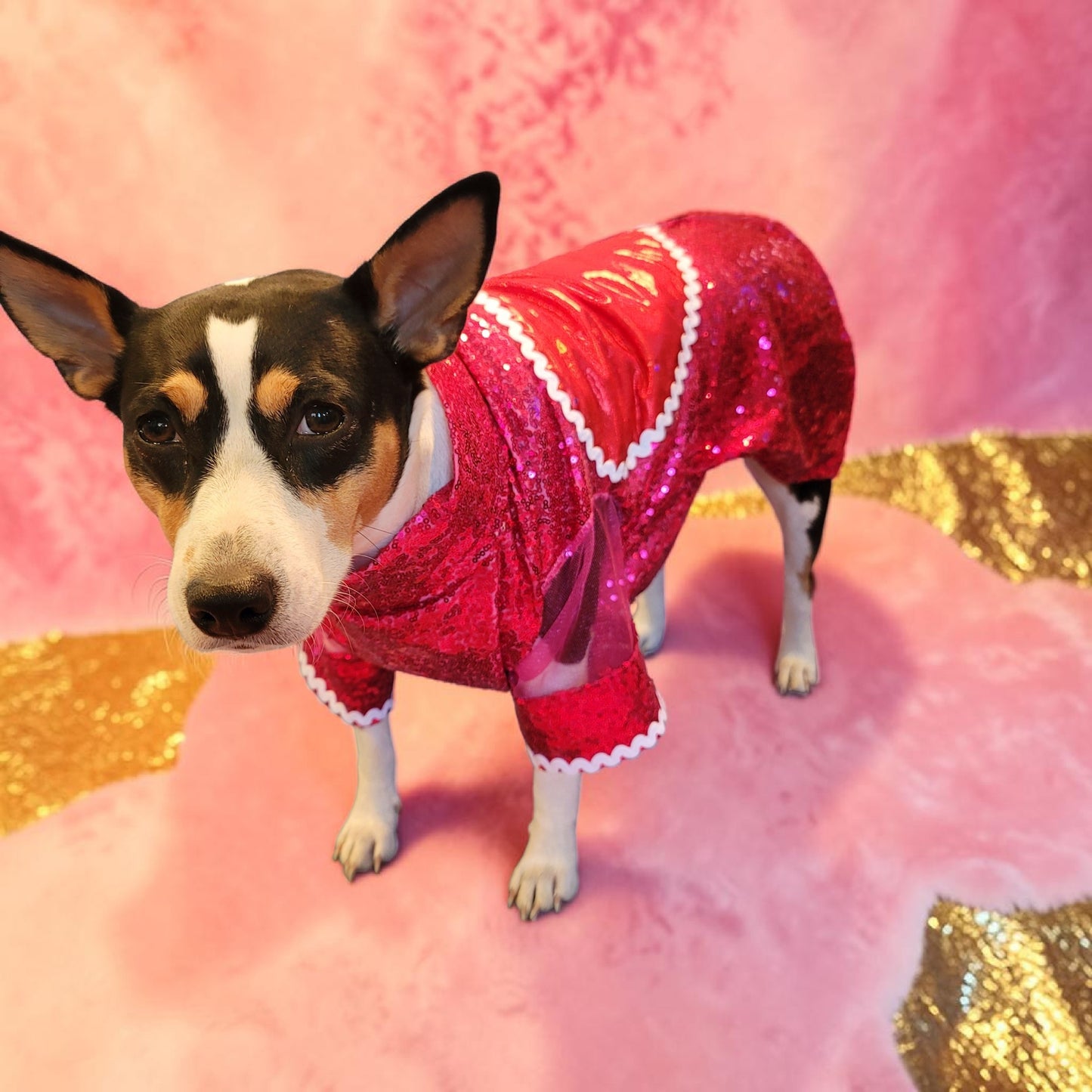 Taylor Swift pet dress, Taylor lover pet dress, Taylor Me pet dress, sequin heart pet dress