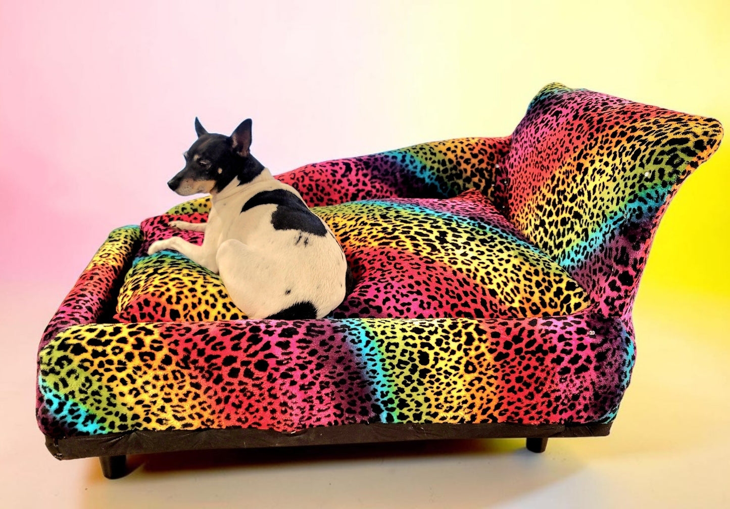 Pet Chaise Lounge, Rainbow Chaise Bed, Pet Chaise Bed, Dog Chaise, Cat Chaise Pet Furniture, Chaise furniture for pets