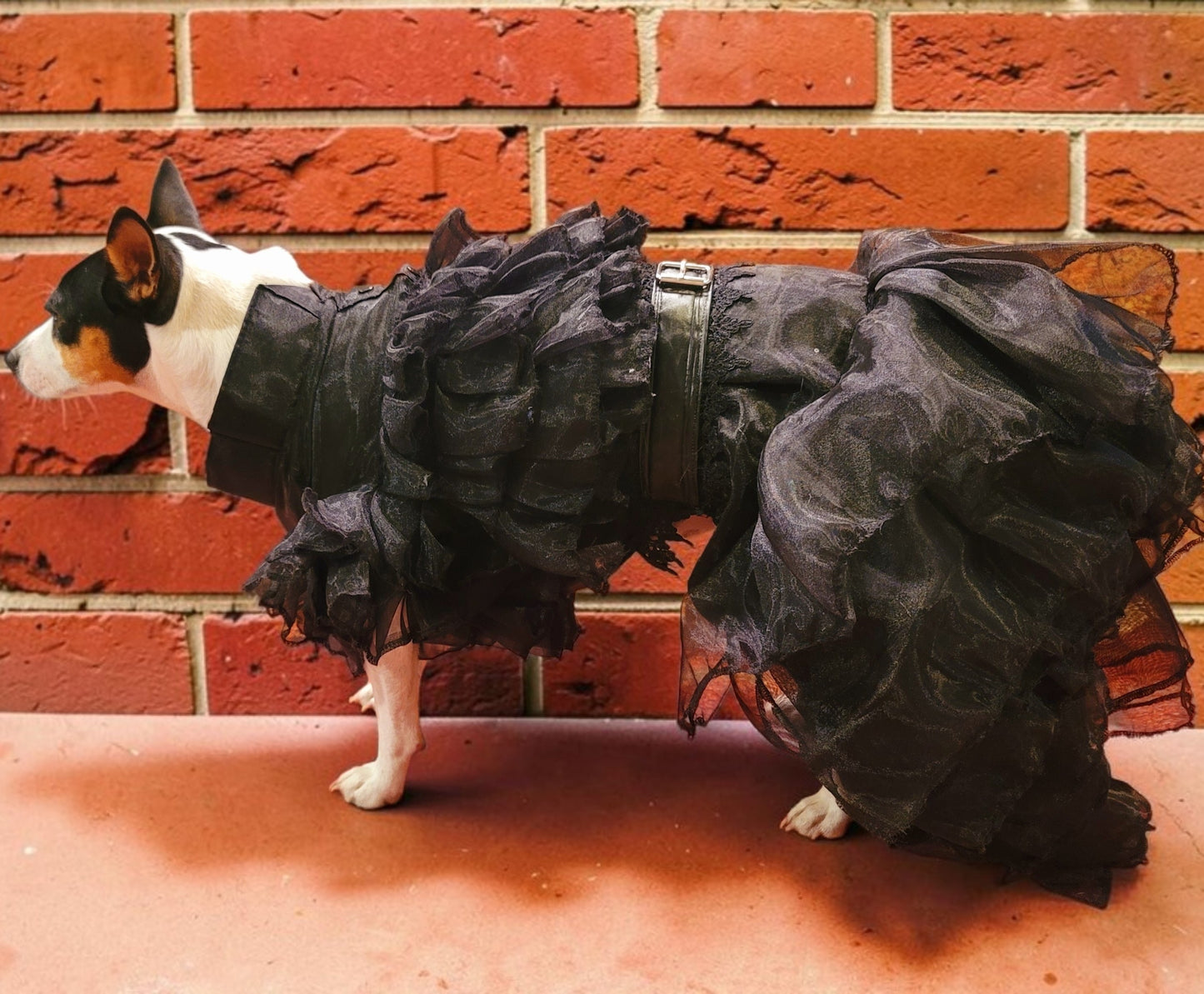 Wednesday Raven Pet Prom dress, Wednesday Pet Costume, Wednesday Raven Dog dress