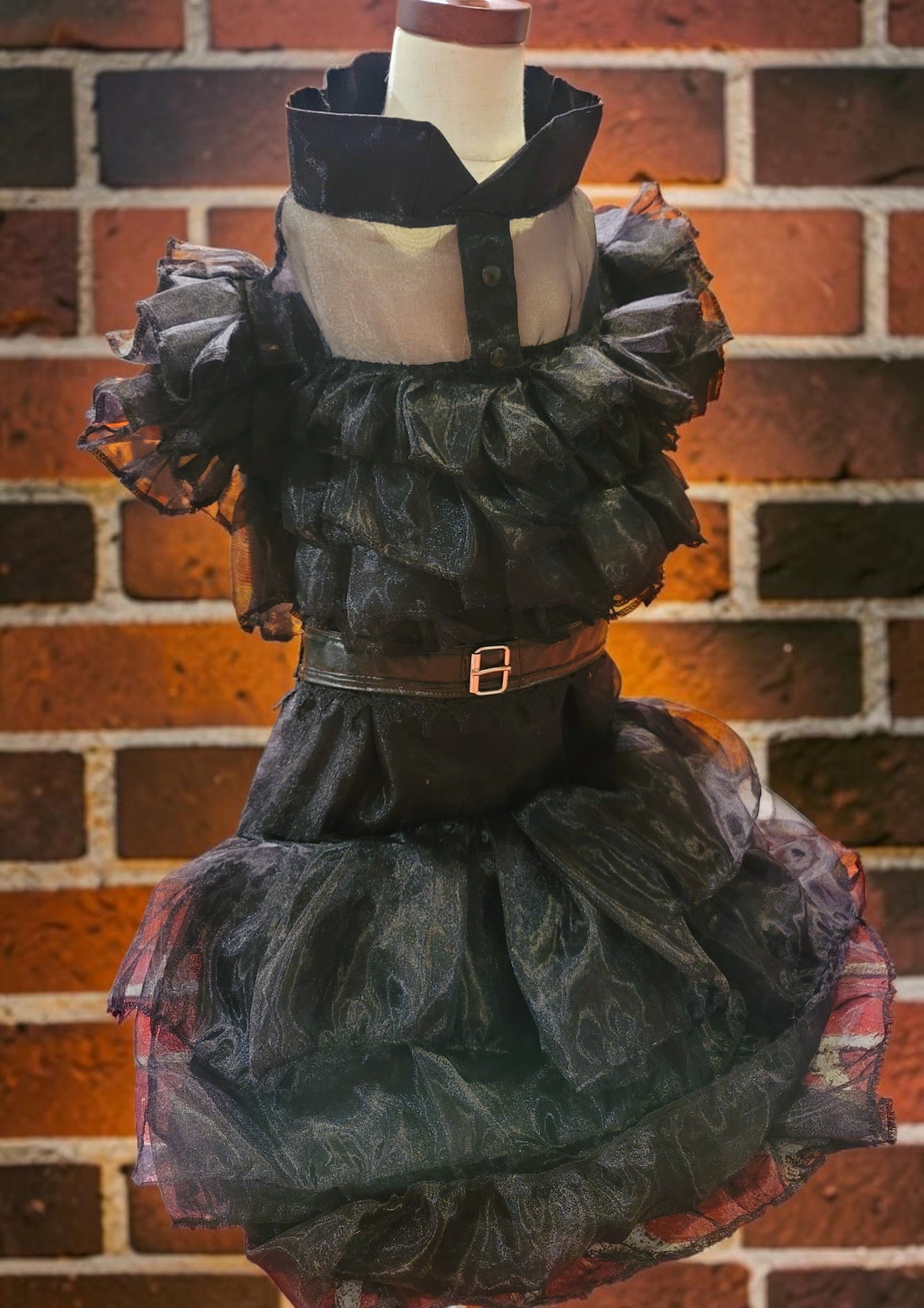Wednesday Raven Pet Prom dress, Wednesday Pet Costume, Wednesday Raven Dog dress