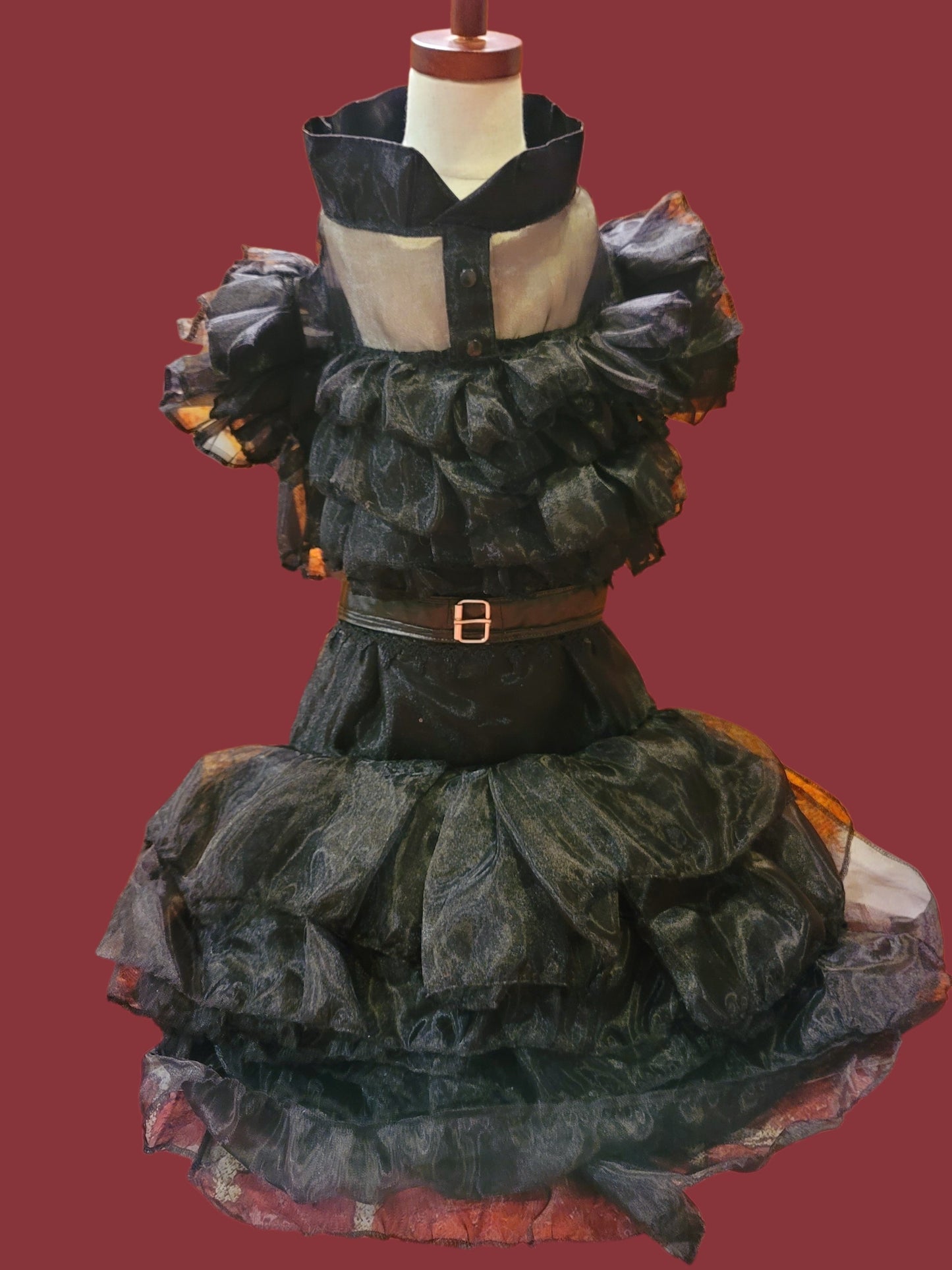 Wednesday Raven Pet Prom dress, Wednesday Pet Costume, Wednesday Raven Dog dress