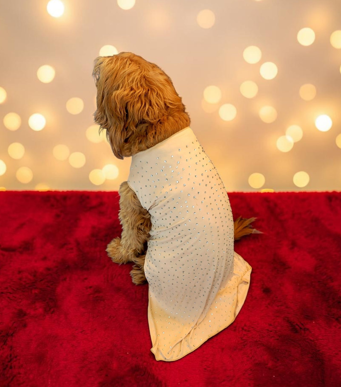 Marilyn Monroe Pet costume, Marilyn Monroe Happy Birthday Mr. President pet dress, Marilyn Monroe dog costume gold dress, pet cat costume