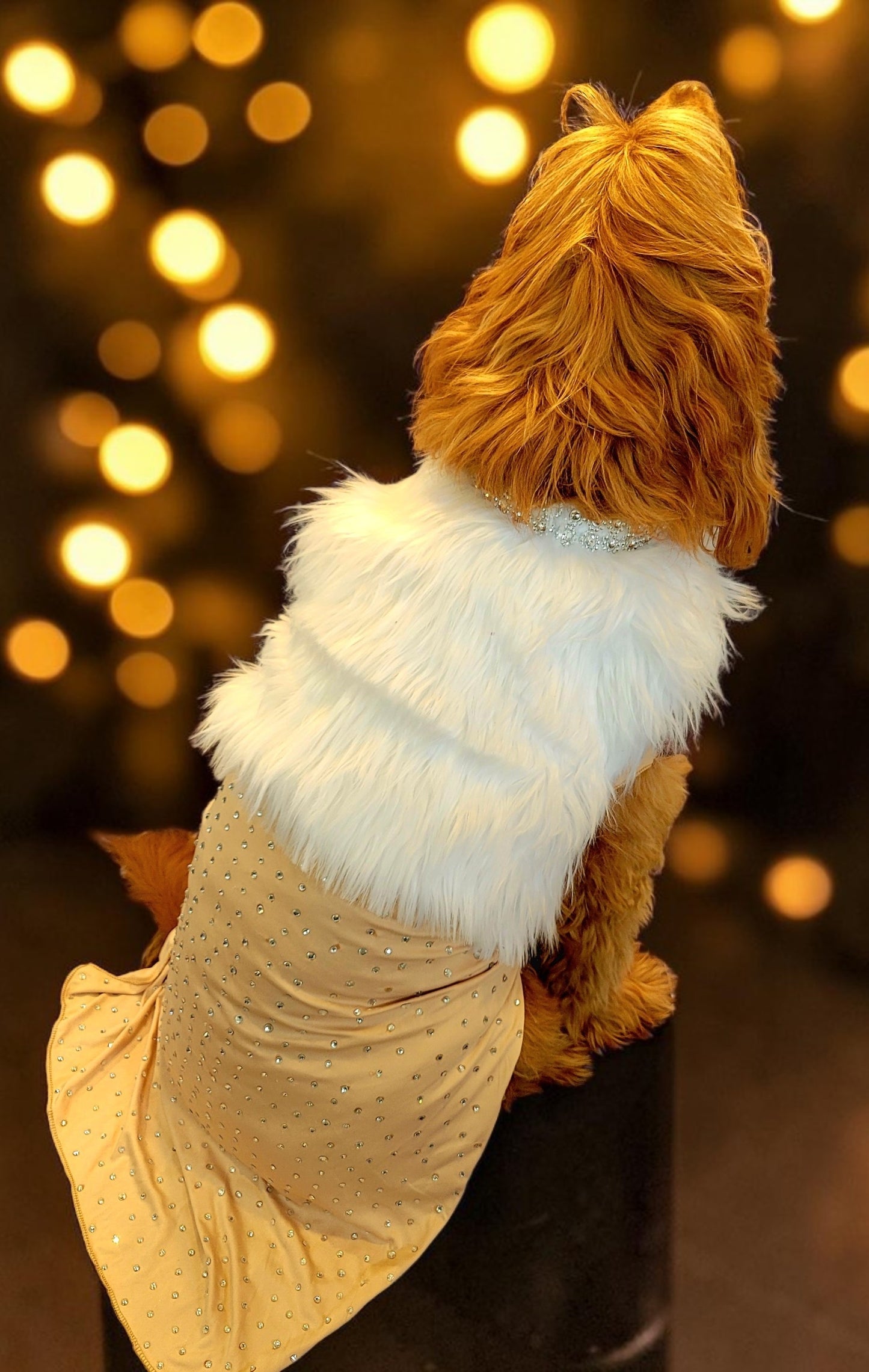 Marilyn Monroe Pet costume, Marilyn Monroe Happy Birthday Mr. President pet dress, Marilyn Monroe dog costume gold dress, pet cat costume