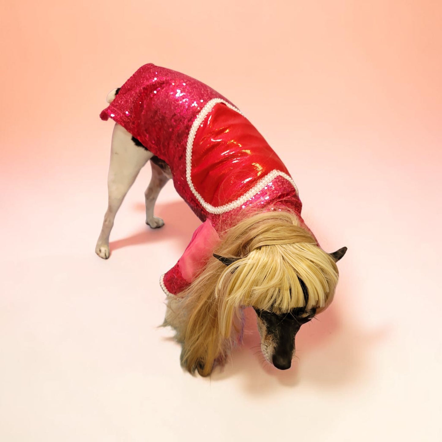 Taylor Swift pet dress, Taylor lover pet dress, Taylor Me pet dress, sequin heart pet dress