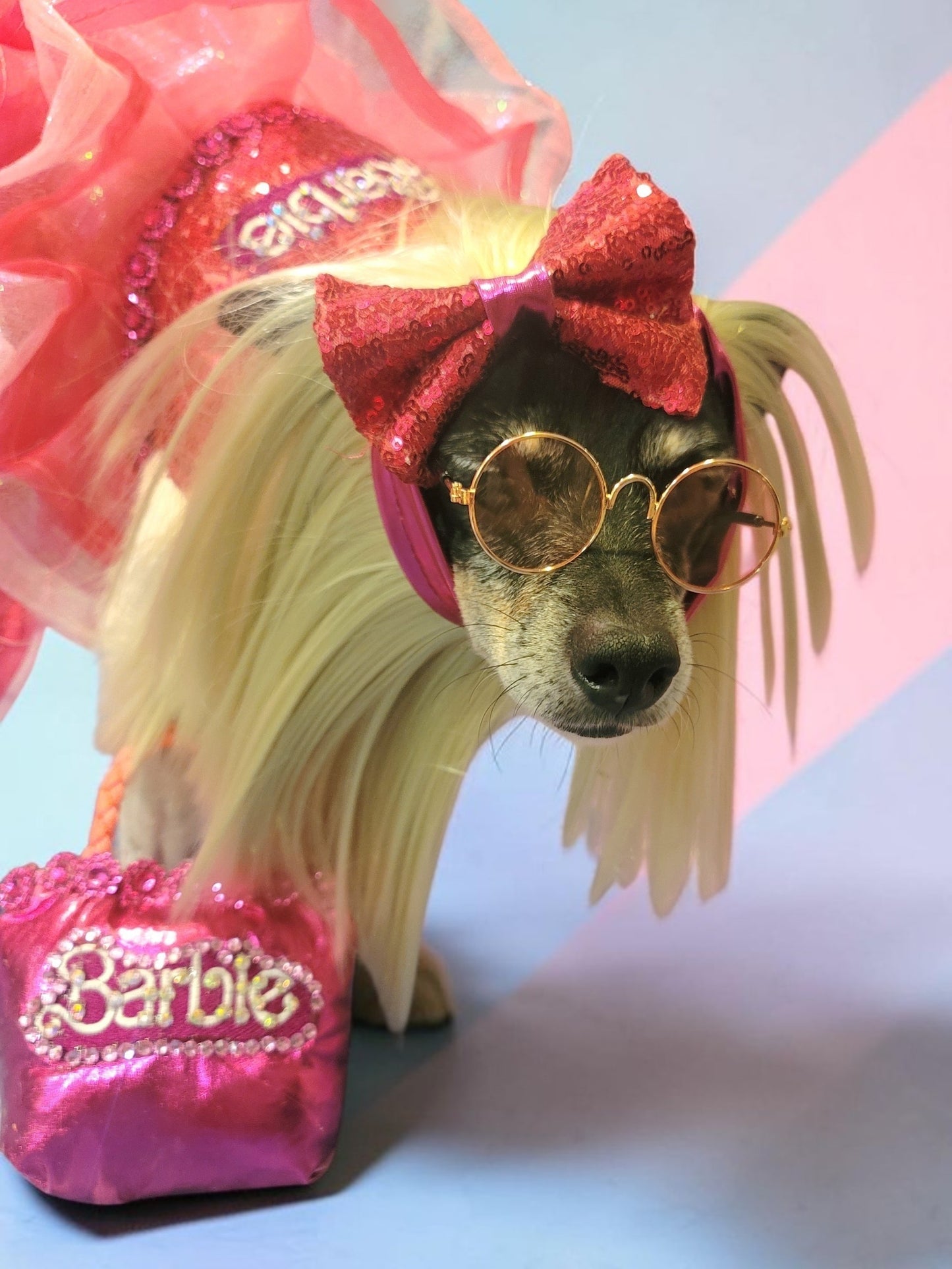 Pet Wigs, dog wigs, cat wigs, wigs for pets, Halloween Pet wigs, blond pet wig, brown pet wig, black pet wig, ponytail pet wig, wigs for dog