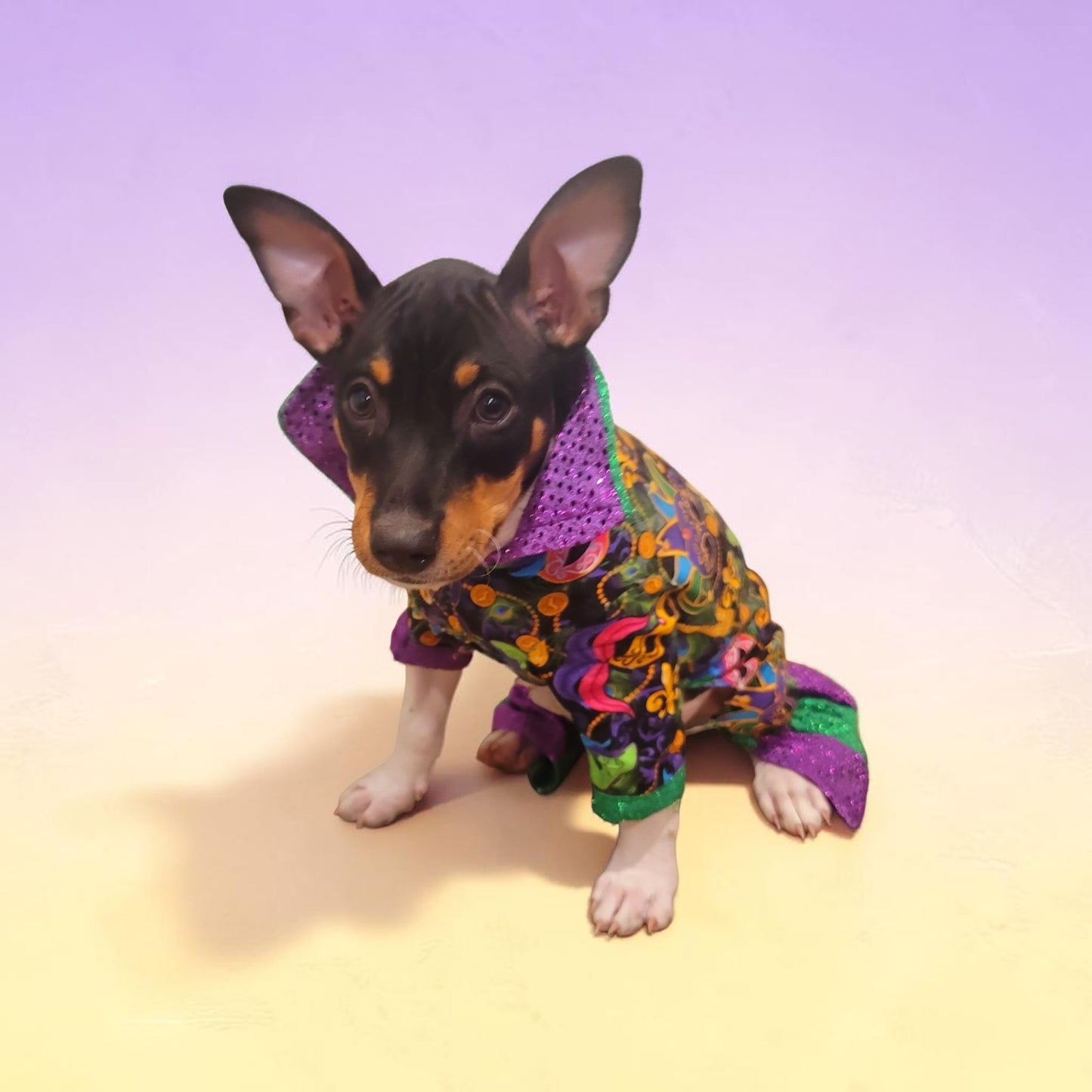 Mardi Gras Pet body suit, Mardi Gras sequin pet body suit, Mardi Gras Pet costume