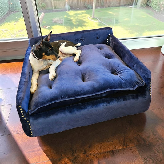 Luxury pet sofa, luxury dog couch, luxury pet furniture