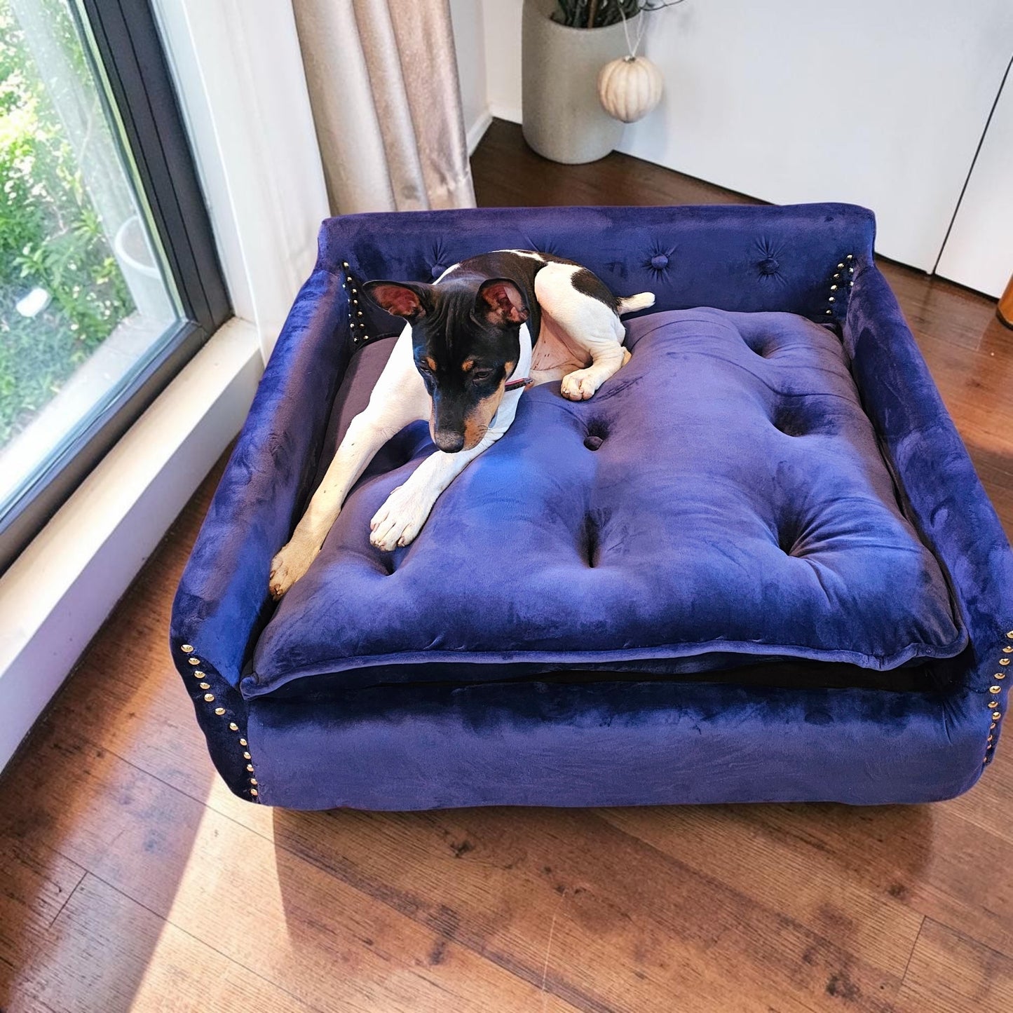 Luxury pet sofa, luxury dog couch, luxury pet furniture