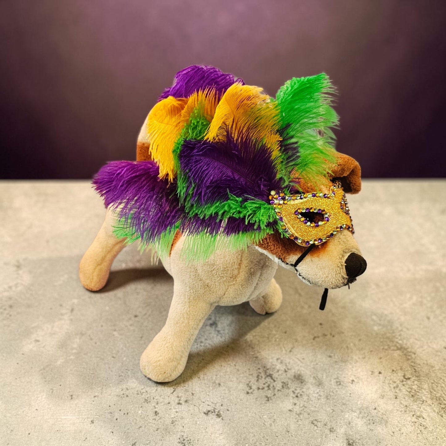 Mardi Gras Pet Masks, Mardi Gras Dog Mask, Fat Tuesday pet, feather pet mask