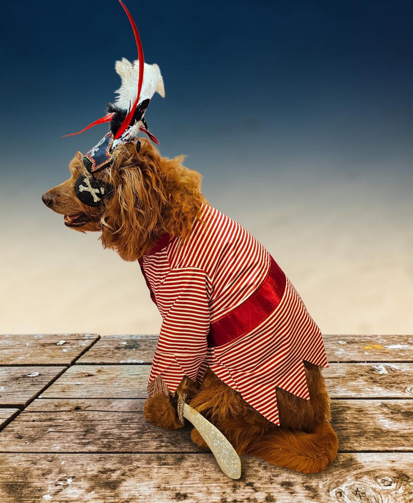 Pirate pet costume, Pirate dog Costume