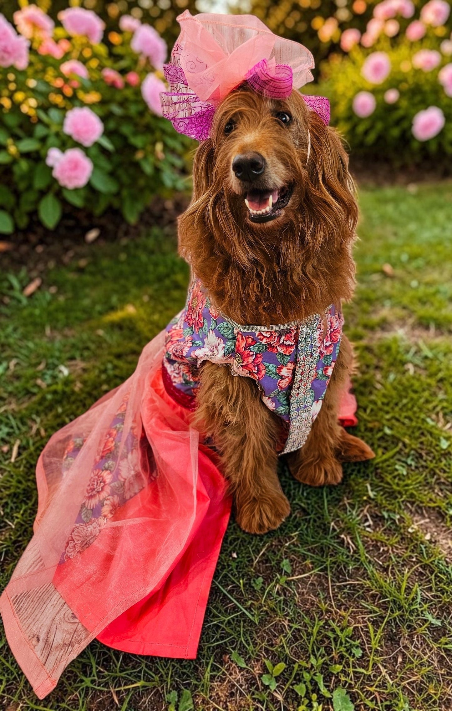 Kentucky derby pet dress and hat, Kentucky derby dog dress and hat, flower pet dress and hat, couture pet dress