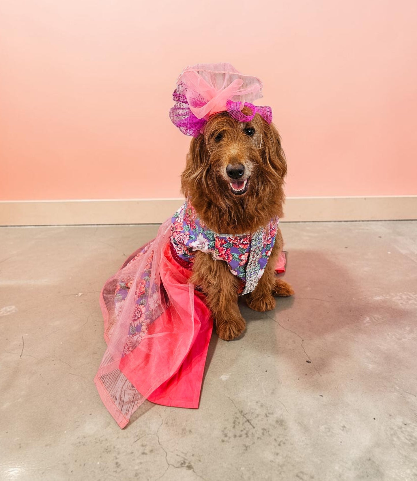 Kentucky derby pet dress and hat, Kentucky derby dog dress and hat, flower pet dress and hat, couture pet dress