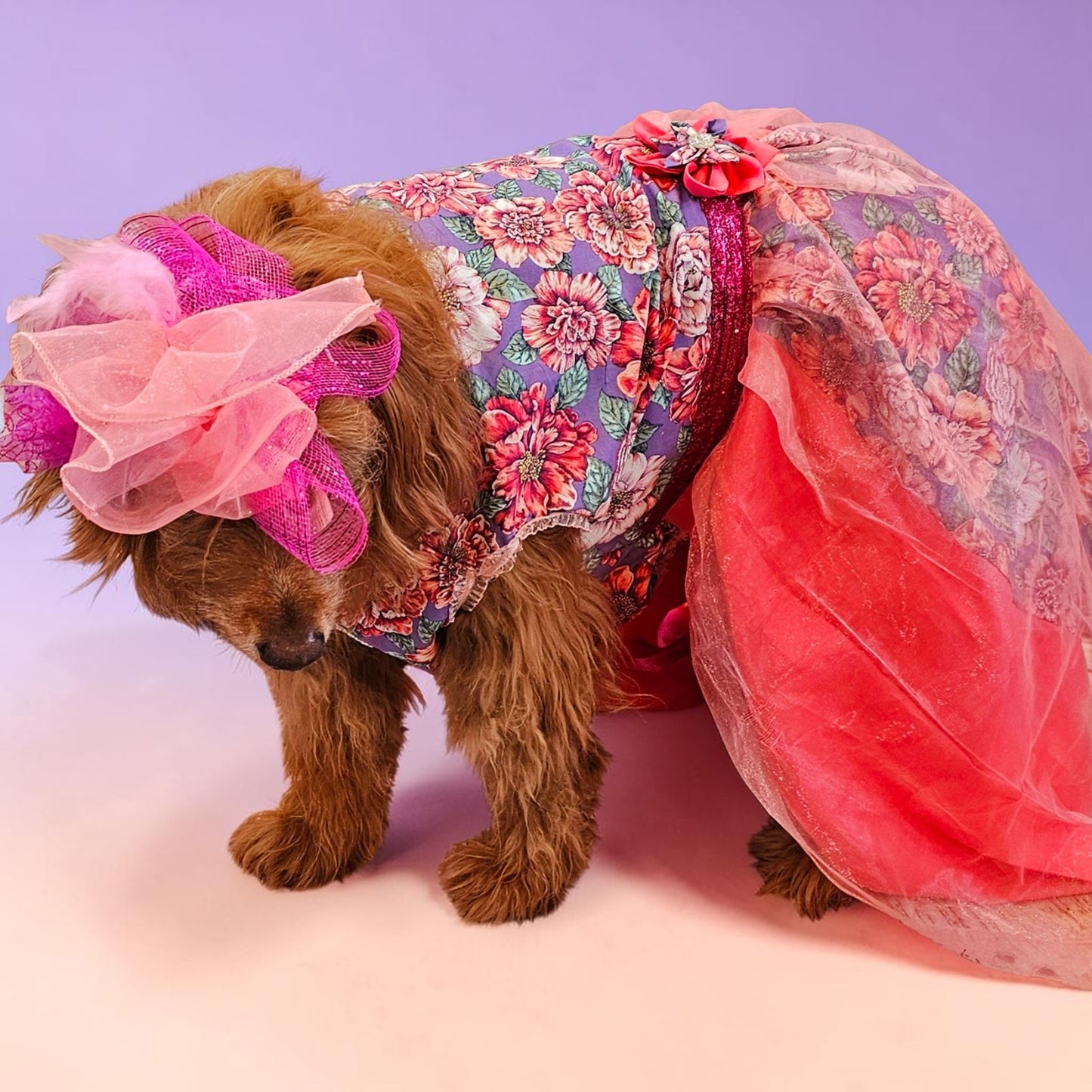 Kentucky derby pet dress and hat, Kentucky derby dog dress and hat, flower pet dress and hat, couture pet dress
