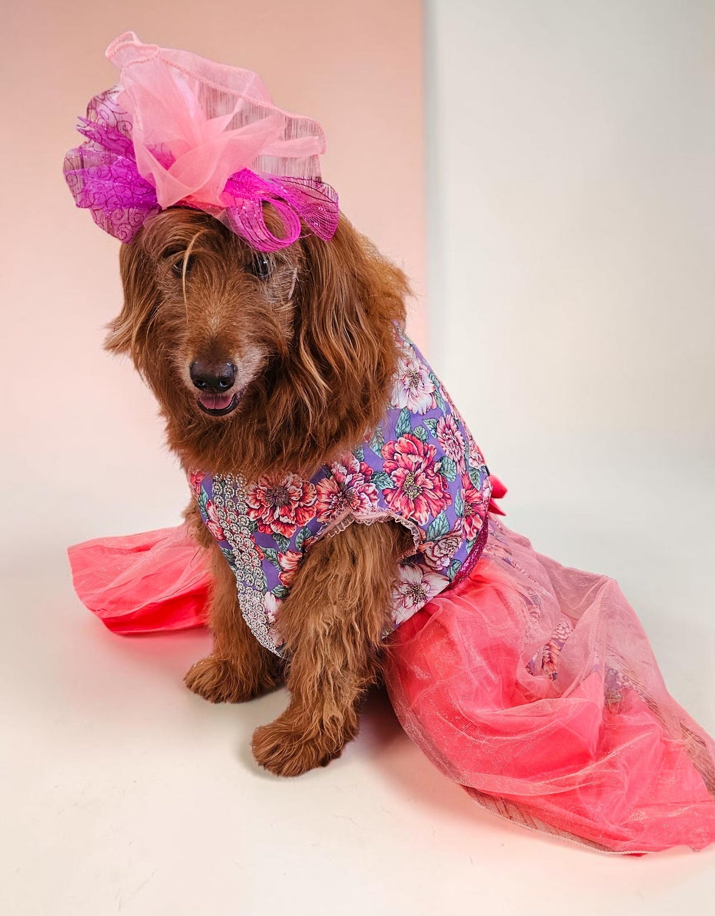 Kentucky derby pet dress and hat, Kentucky derby dog dress and hat, flower pet dress and hat, couture pet dress