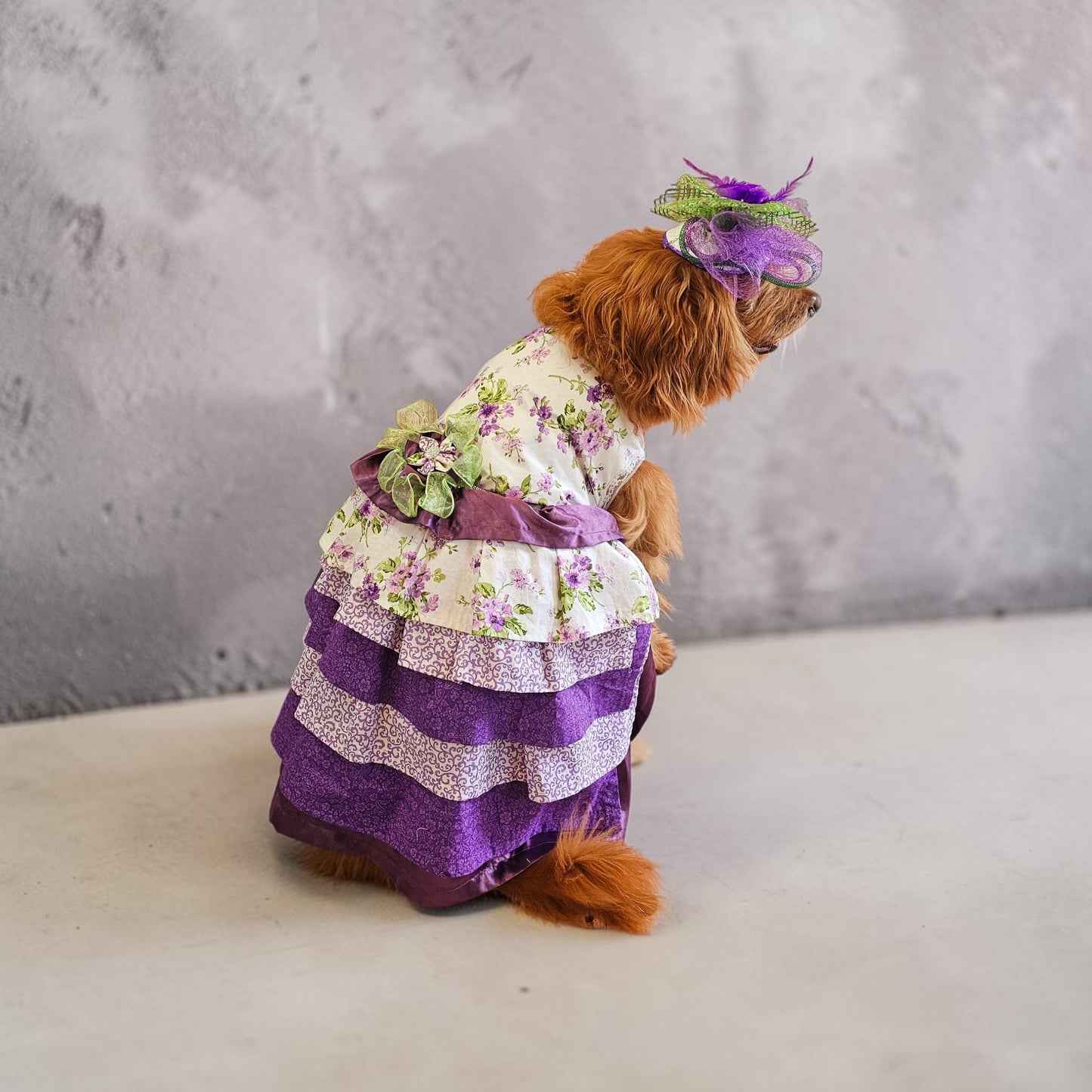 Kentucky derby pet hat and dress, Kentucky Derby dog hat and dress, Canine couture, Kentucky Derby pet costume