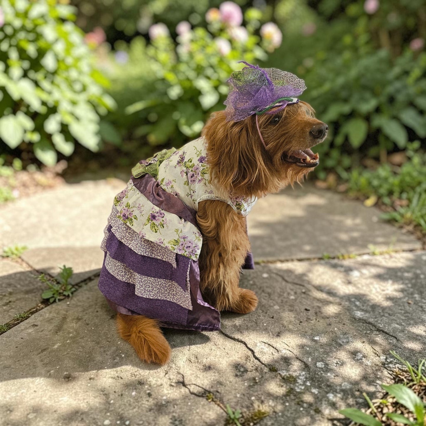 Kentucky derby pet hat and dress, Kentucky Derby dog hat and dress, Canine couture, Kentucky Derby pet costume