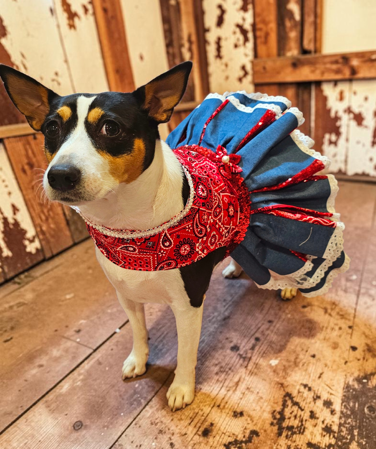Western cowgirl pet dress, western cowgirl dog dress, western cowgirl cat costume